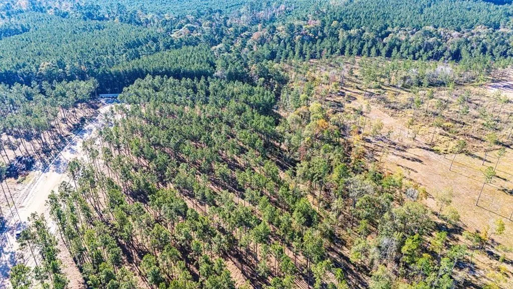 Unimproved Land For Sale in Polk County , 12 Big Buck Drive, Moscow, Texas 75960, 0, 0, Garage spaces, 0 Sqft, built in 0, mls#21389057, Real Estate Agent in Moscow, Homes For Sale in Polk county, Homes For Sale in Moscow, Realtor in Moscow Texas, Real Estate Brokerage Independent Realty Texas, Luminita Cordes Realtor