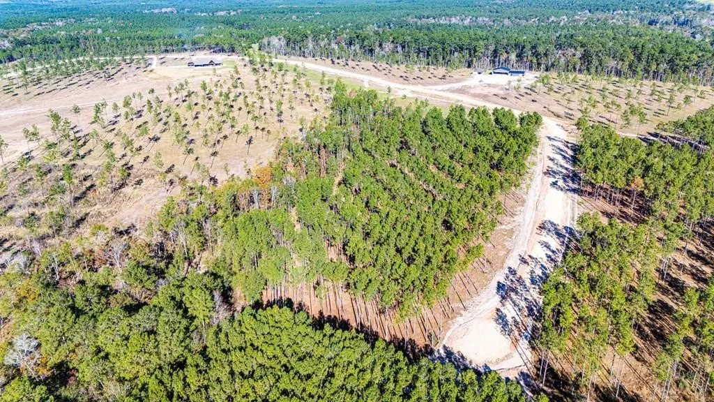 Unimproved Land For Sale in Polk County , 12 Big Buck Drive, Moscow, Texas 75960, 0, 0, Garage spaces, 0 Sqft, built in 0, mls#21389057, Real Estate Agent in Moscow, Homes For Sale in Polk county, Homes For Sale in Moscow, Realtor in Moscow Texas, Real Estate Brokerage Independent Realty Texas, Luminita Cordes Realtor