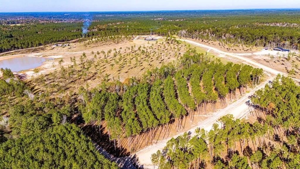 Unimproved Land For Sale in Polk County , 12 Big Buck Drive, Moscow, Texas 75960, 0, 0, Garage spaces, 0 Sqft, built in 0, mls#21389057, Real Estate Agent in Moscow, Homes For Sale in Polk county, Homes For Sale in Moscow, Realtor in Moscow Texas, Real Estate Brokerage Independent Realty Texas, Luminita Cordes Realtor