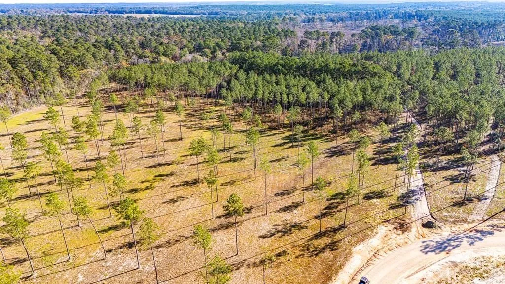 Unimproved Land For Sale in Polk County , 19 Big Buck Drive, Moscow, Texas 75960, 0, 0, Garage spaces, 0 Sqft, built in 0, mls#21388999, Real Estate Agent in Moscow, Homes For Sale in Polk county, Homes For Sale in Moscow, Realtor in Moscow Texas, Real Estate Brokerage Independent Realty Texas, Luminita Cordes Realtor