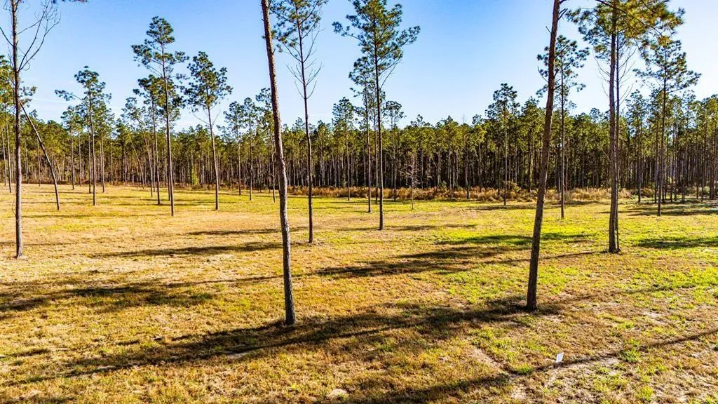 Unimproved Land For Sale in Polk County , 19 Big Buck Drive, Moscow, Texas 75960, 0, 0, Garage spaces, 0 Sqft, built in 0, mls#21388999, Real Estate Agent in Moscow, Homes For Sale in Polk county, Homes For Sale in Moscow, Realtor in Moscow Texas, Real Estate Brokerage Independent Realty Texas, Luminita Cordes Realtor