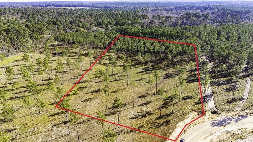 Unimproved Land For Sale in Polk County , 19 Big Buck Drive, Moscow, Texas 75960, 0, 0, Garage spaces, 0 Sqft, built in 0, mls#21388999, Real Estate Agent in Moscow, Homes For Sale in Polk county, Homes For Sale in Moscow, Realtor in Moscow Texas, Real Estate Brokerage Independent Realty Texas, Luminita Cordes Realtor