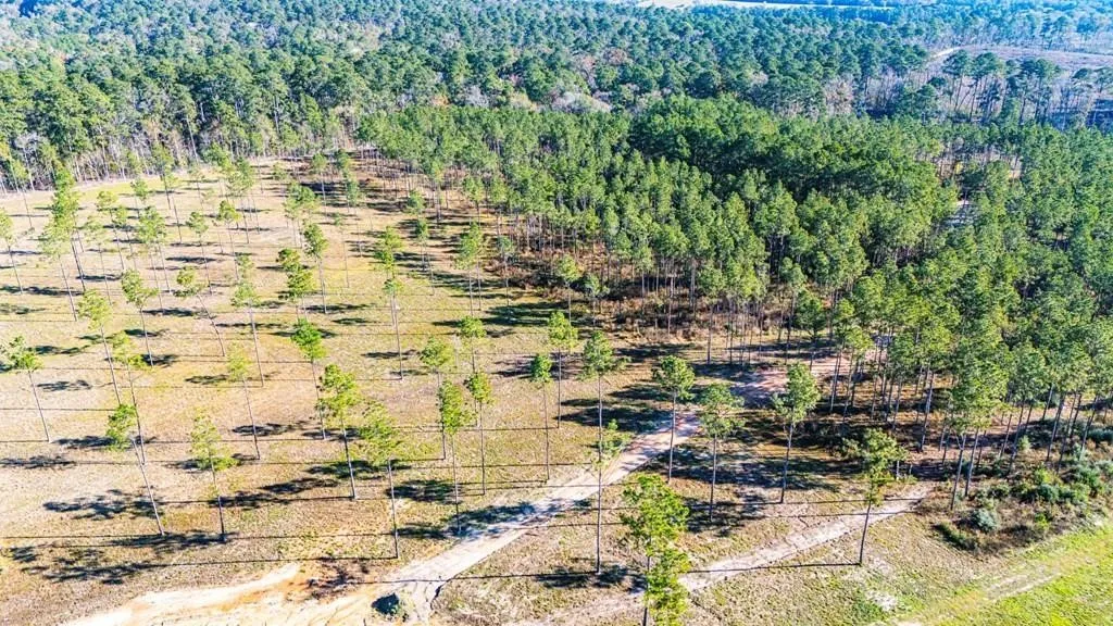 Unimproved Land For Sale in Polk County , 19 Big Buck Drive, Moscow, Texas 75960, 0, 0, Garage spaces, 0 Sqft, built in 0, mls#21388999, Real Estate Agent in Moscow, Homes For Sale in Polk county, Homes For Sale in Moscow, Realtor in Moscow Texas, Real Estate Brokerage Independent Realty Texas, Luminita Cordes Realtor
