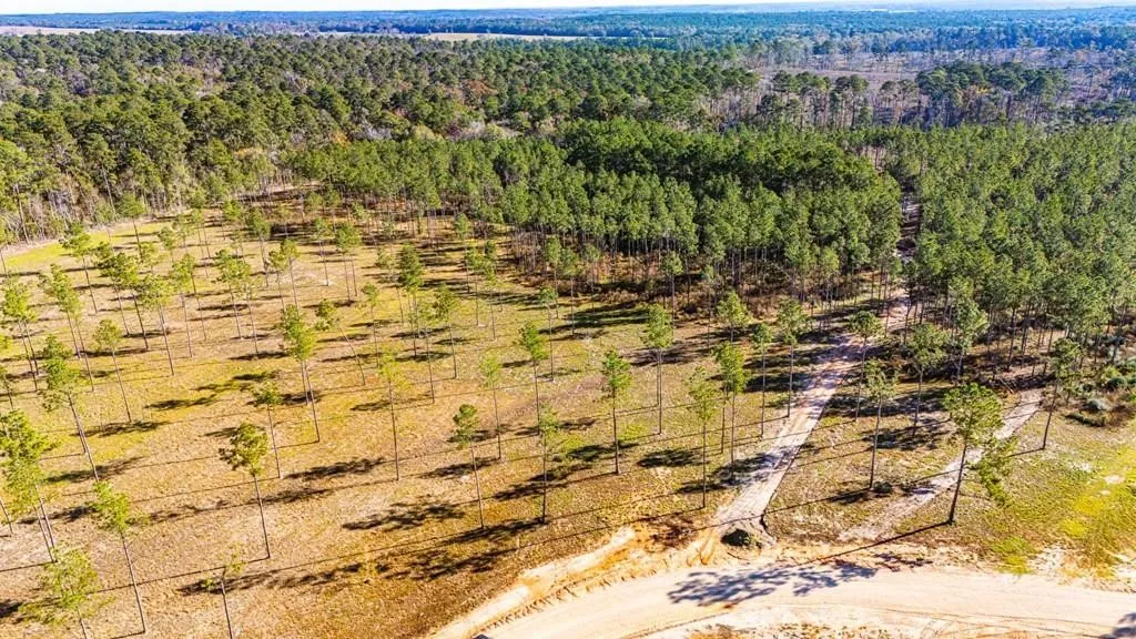 Unimproved Land For Sale in Polk County , 19 Big Buck Drive, Moscow, Texas 75960, 0, 0, Garage spaces, 0 Sqft, built in 0, mls#21388999, Real Estate Agent in Moscow, Homes For Sale in Polk county, Homes For Sale in Moscow, Realtor in Moscow Texas, Real Estate Brokerage Independent Realty Texas, Luminita Cordes Realtor