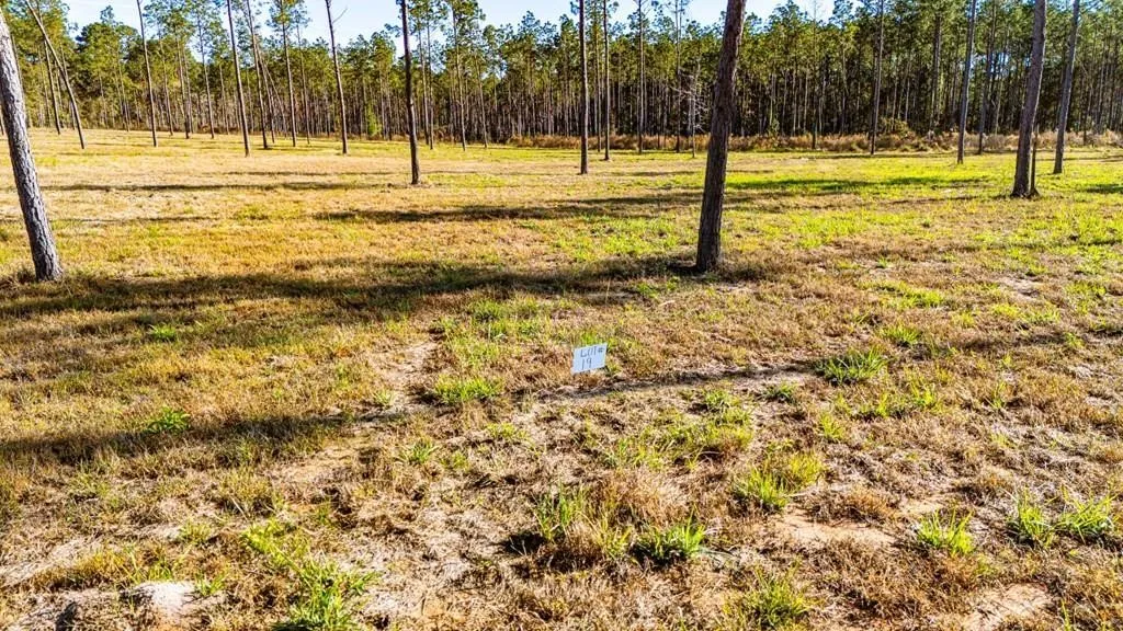 Unimproved Land For Sale in Polk County , 19 Big Buck Drive, Moscow, Texas 75960, 0, 0, Garage spaces, 0 Sqft, built in 0, mls#21388999, Real Estate Agent in Moscow, Homes For Sale in Polk county, Homes For Sale in Moscow, Realtor in Moscow Texas, Real Estate Brokerage Independent Realty Texas, Luminita Cordes Realtor