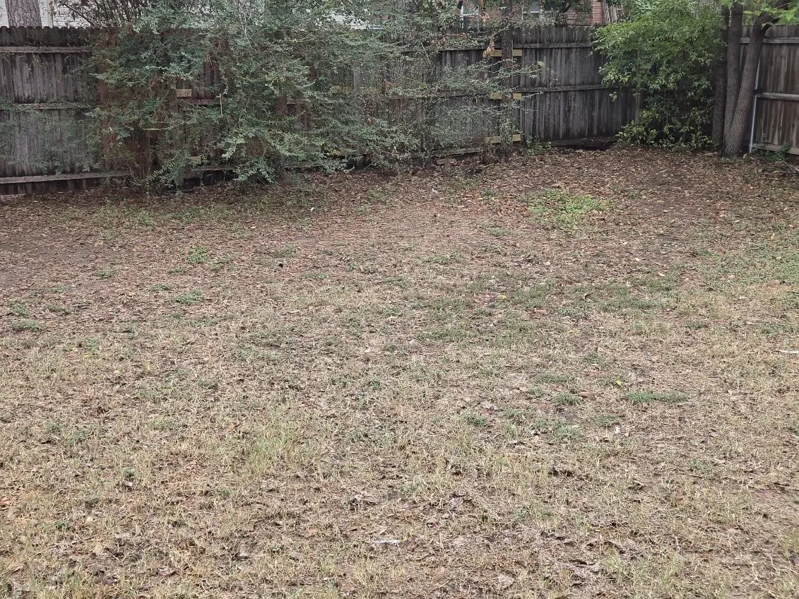 Duplex For Rent in Tarrant County , 7210 NE Loop 820, North Richland Hills, Texas 76180, 2 Bedroom, 2 Bathroom, 1 Garage spaces, 1,000 Sqft, built in 1982, mls#21403741, Real Estate Agent in North Richland Hills, Homes For Rent in Tarrant county, Homes For Rent in North Richland Hills, Realtor in North Richland Hills Texas, Real Estate Brokerage Independent Realty Texas, Luminita Cordes Realtor