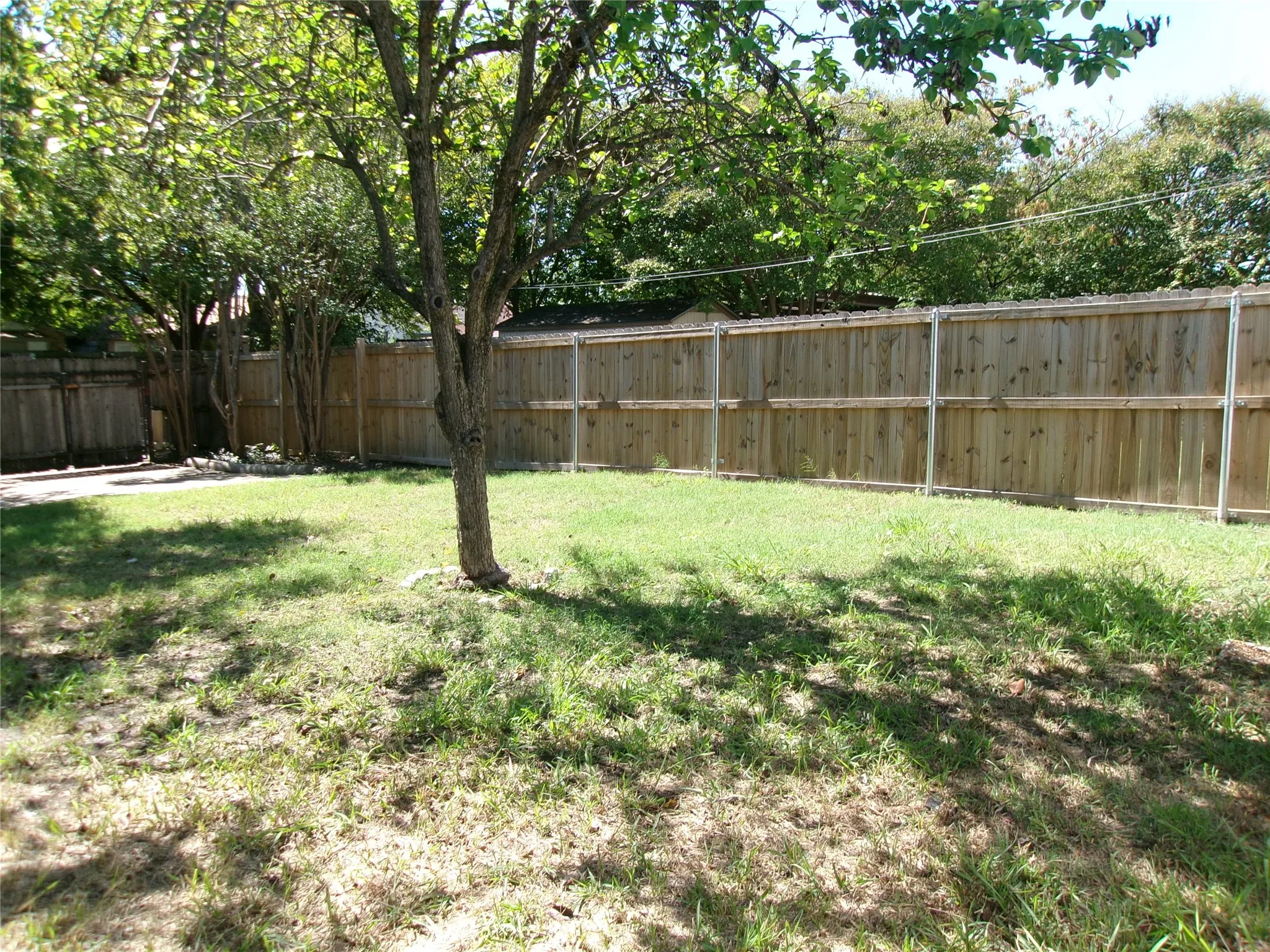 Fenced yard with mature trees and a grass lawn