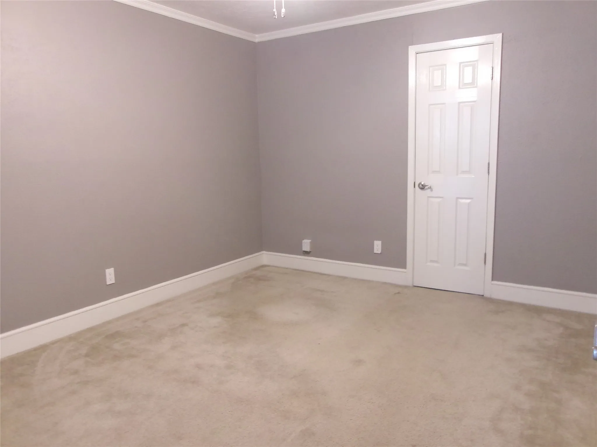 Neutral tone wall finish, crown molding, paneled door, and carpeted flooring