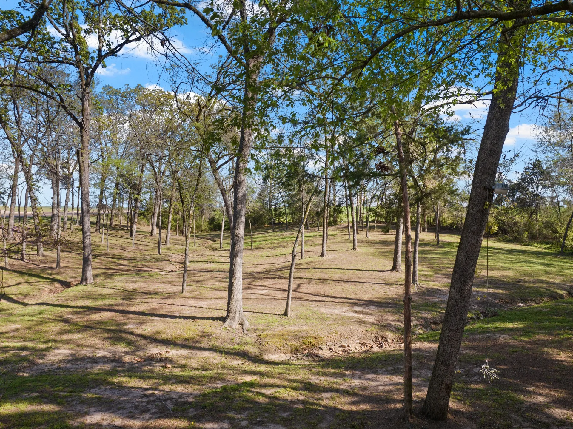 Single Family Residence For Sale in Titus County , 101 Bluebird Street, Mt Pleasant, Texas 75455, 3 Bedroom, 3 Bathroom, 2 Garage spaces, 3,127 Sqft, built in 1955, mls#21403641, Real Estate Agent in Mt Pleasant, Homes For Sale in Titus county, Homes For Sale in Mt Pleasant, Realtor in Mt Pleasant Texas, Real Estate Brokerage Independent Realty Texas, Luminita Cordes Realtor