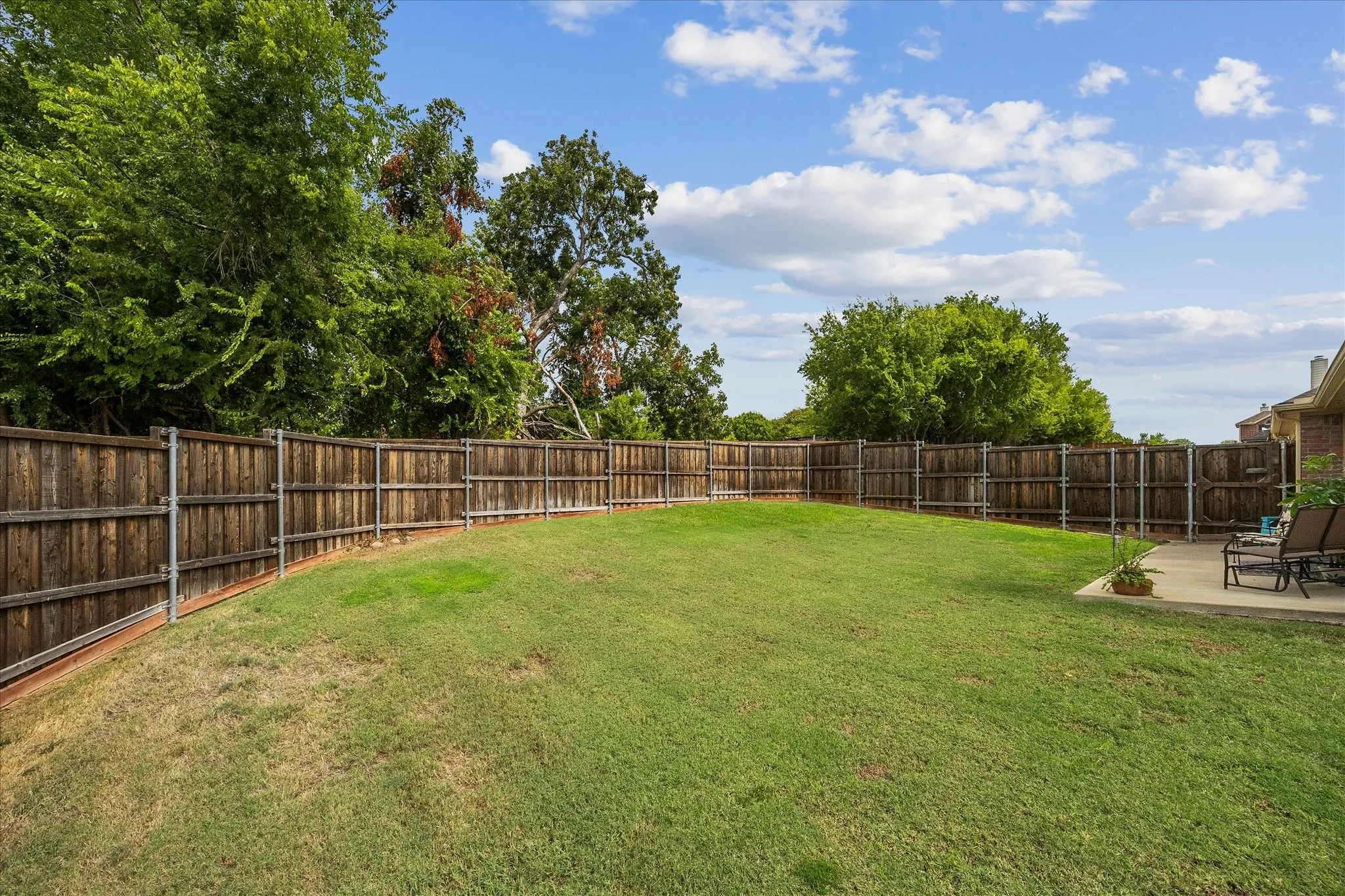 Plenty of space to roam and play here!