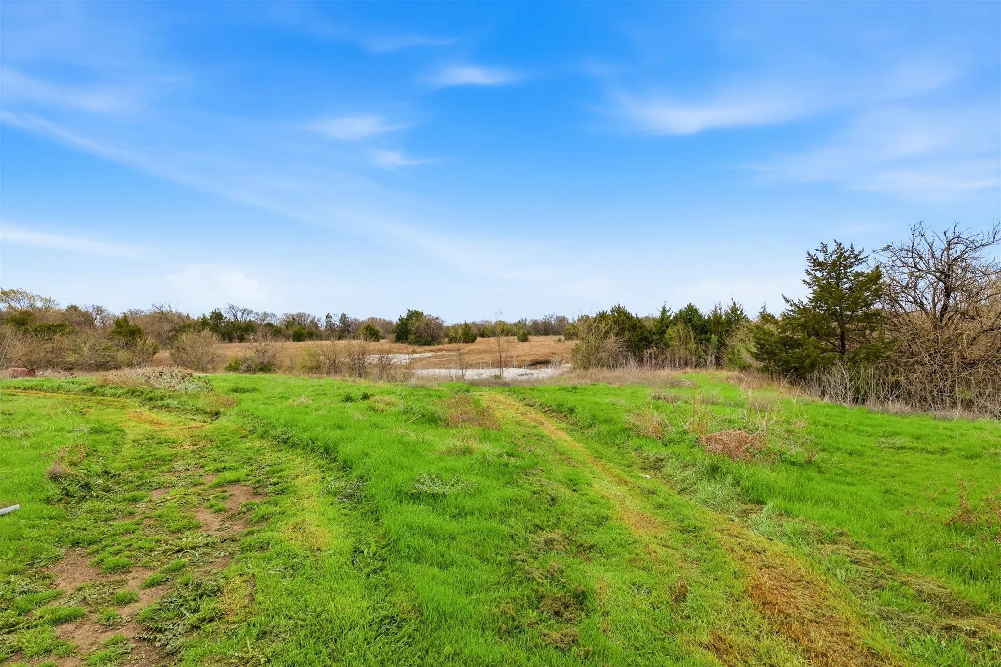 View of yard with a view of rural / pastoral area
