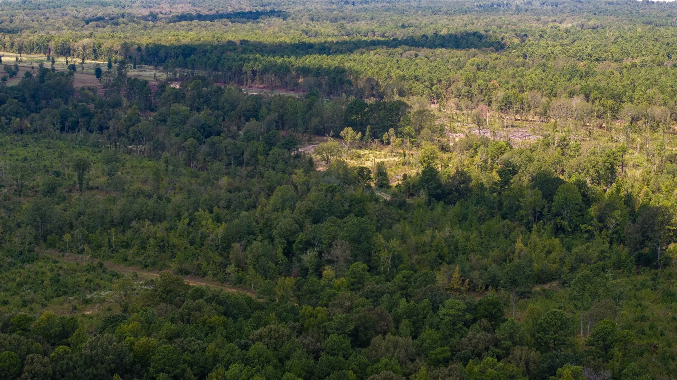 Unimproved Land For Sale in Harrison County , 0 Blocker Road, Marshall, Texas 75672, 0, 0, Garage spaces, 0 Sqft, built in 0, mls#21403592, Real Estate Agent in Marshall, Homes For Sale in Harrison county, Homes For Sale in Marshall, Realtor in Marshall Texas, Real Estate Brokerage Independent Realty Texas, Luminita Cordes Realtor