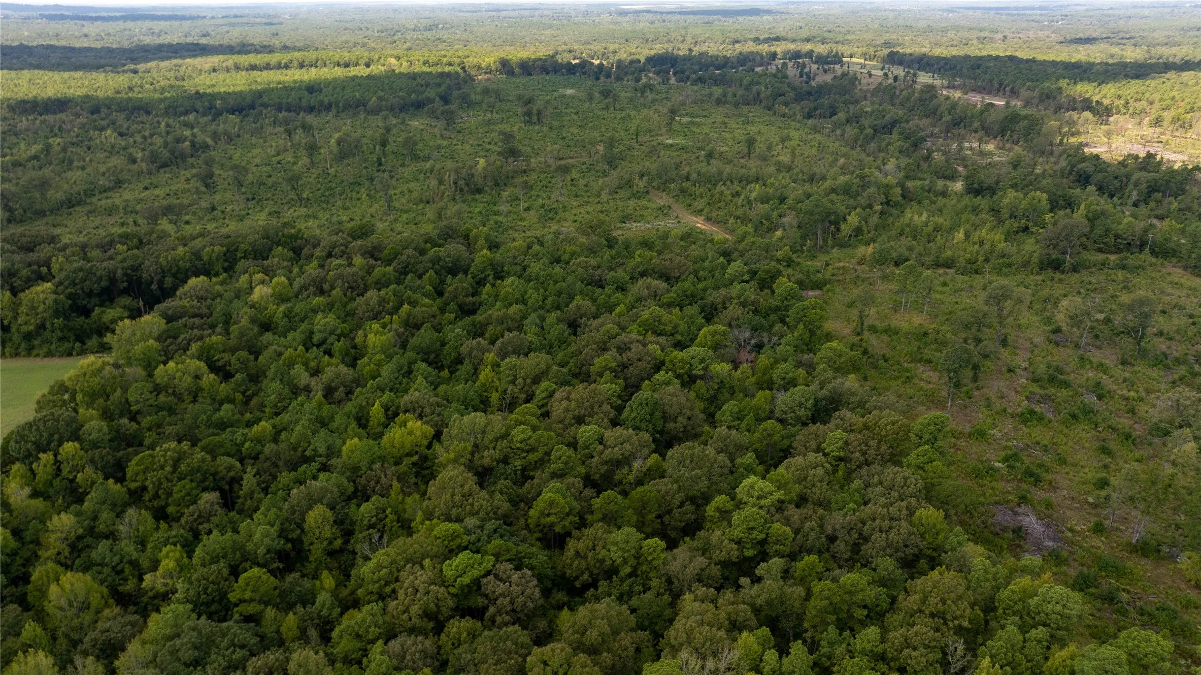 Unimproved Land For Sale in Harrison County , 0 Blocker Road, Marshall, Texas 75672, 0, 0, Garage spaces, 0 Sqft, built in 0, mls#21403592, Real Estate Agent in Marshall, Homes For Sale in Harrison county, Homes For Sale in Marshall, Realtor in Marshall Texas, Real Estate Brokerage Independent Realty Texas, Luminita Cordes Realtor