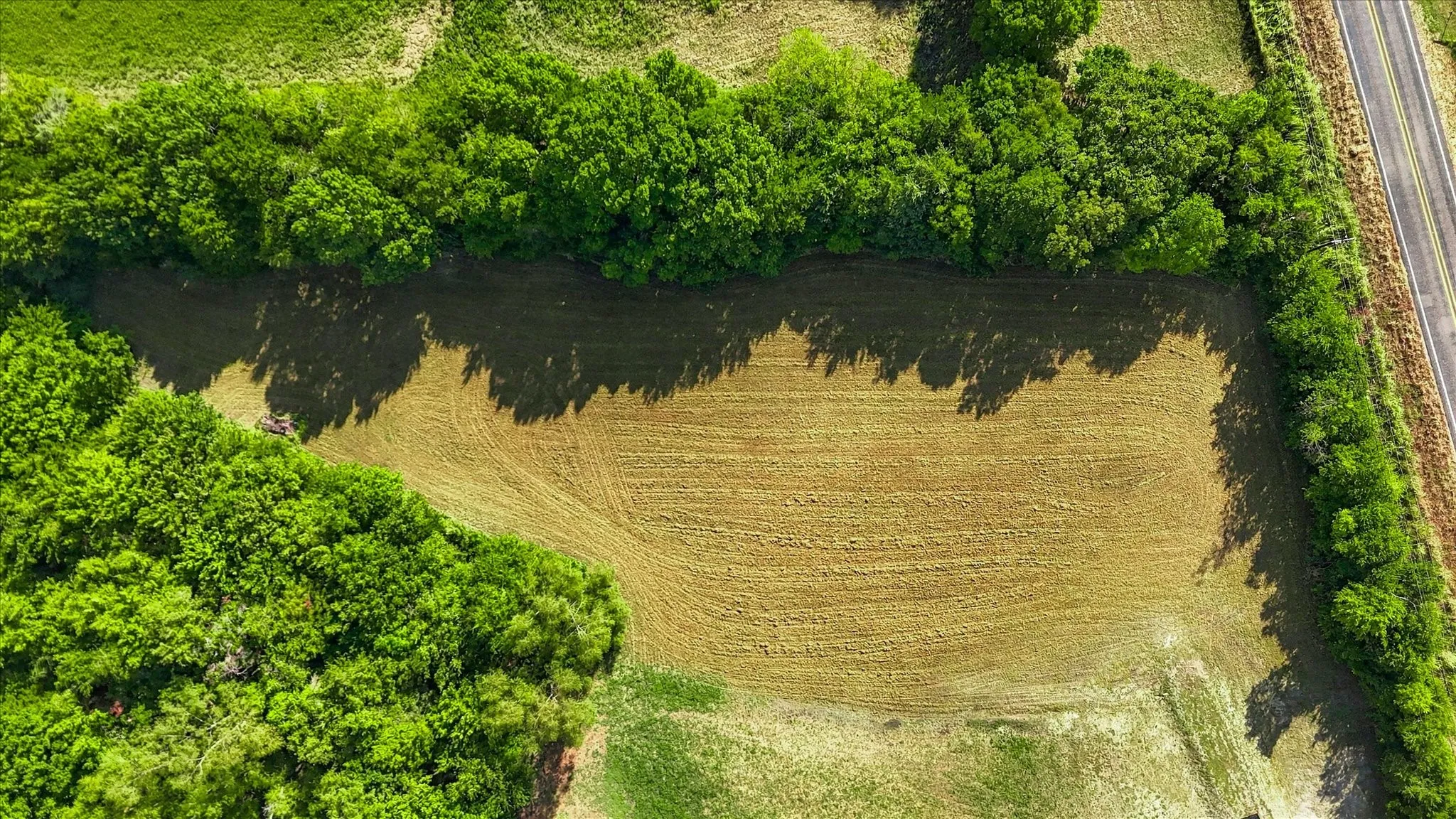 Unimproved Land For Sale in Grayson County , 5329 Fm-121, Van Alstyne, Texas 75495, 0, 0, Garage spaces, 0 Sqft, built in 0, mls#21394010, Real Estate Agent in Van Alstyne, Homes For Sale in Grayson county, Homes For Sale in Van Alstyne, Realtor in Van Alstyne Texas, Real Estate Brokerage Independent Realty Texas, Luminita Cordes Realtor