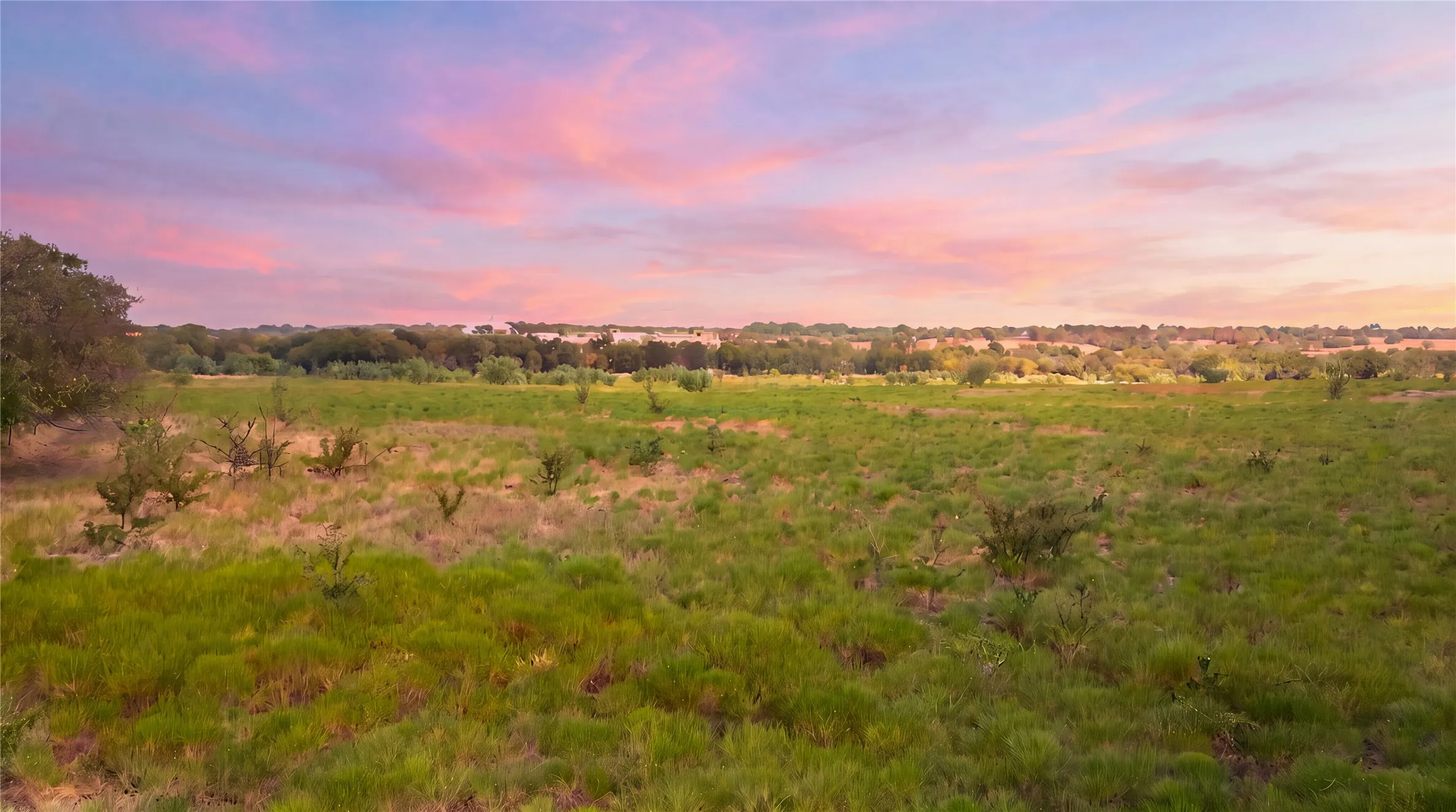 Expansive open fields with varied natural vegetation and distant tree lines