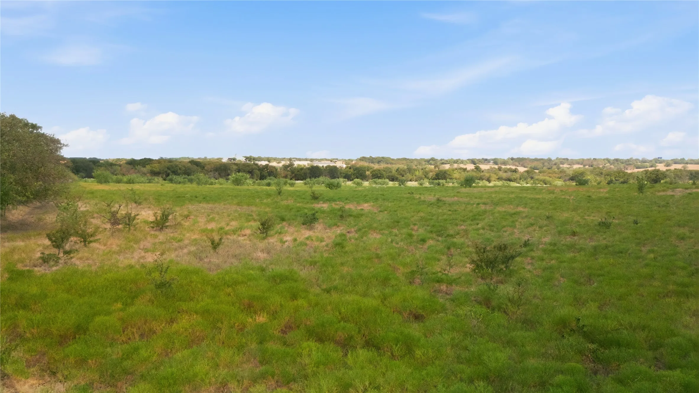 Expansive undeveloped acreage with scattered trees and natural vegetation under a clear sky