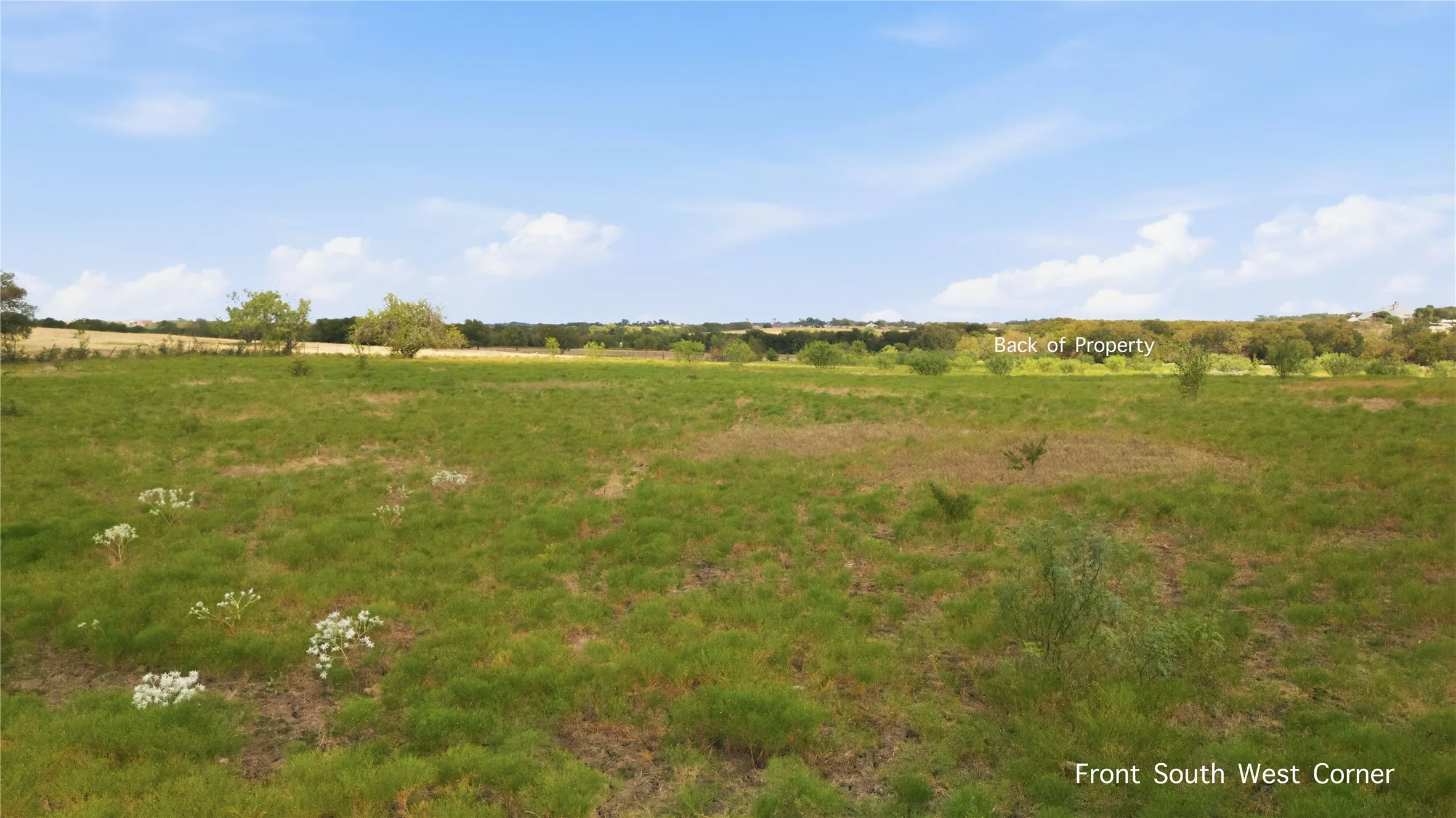 Expansive undeveloped land with natural ground cover and distant tree lines under a clear sky