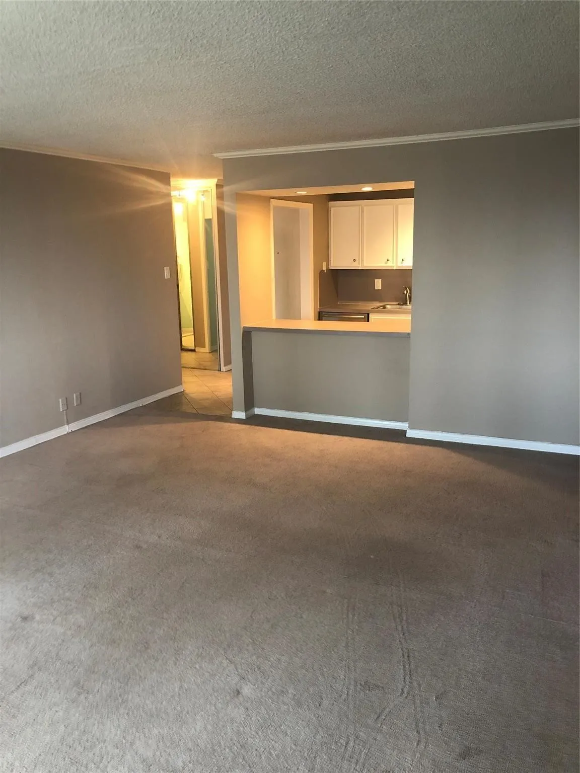 Carpeted flooring, neutral wall paint, and white trim