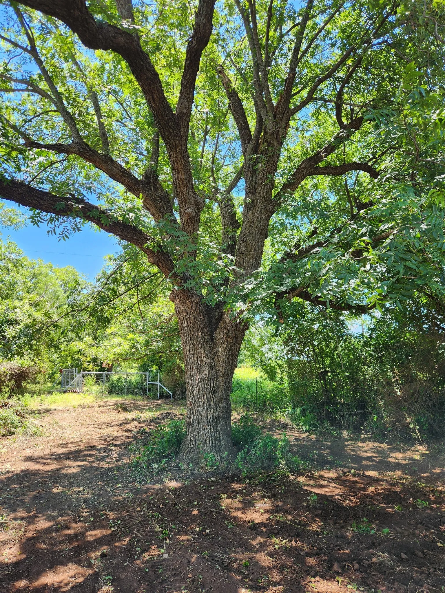 Farm For Sale in Coleman County , 824 CR 409, Talpa, Texas 76882, 2 Bedroom, 1 Bathroom, Garage spaces, 868 Sqft, built in 1998, mls#21400037, Real Estate Agent in Talpa, Homes For Sale in Coleman county, Homes For Sale in Talpa, Realtor in Talpa Texas, Real Estate Brokerage Independent Realty Texas, Luminita Cordes Realtor