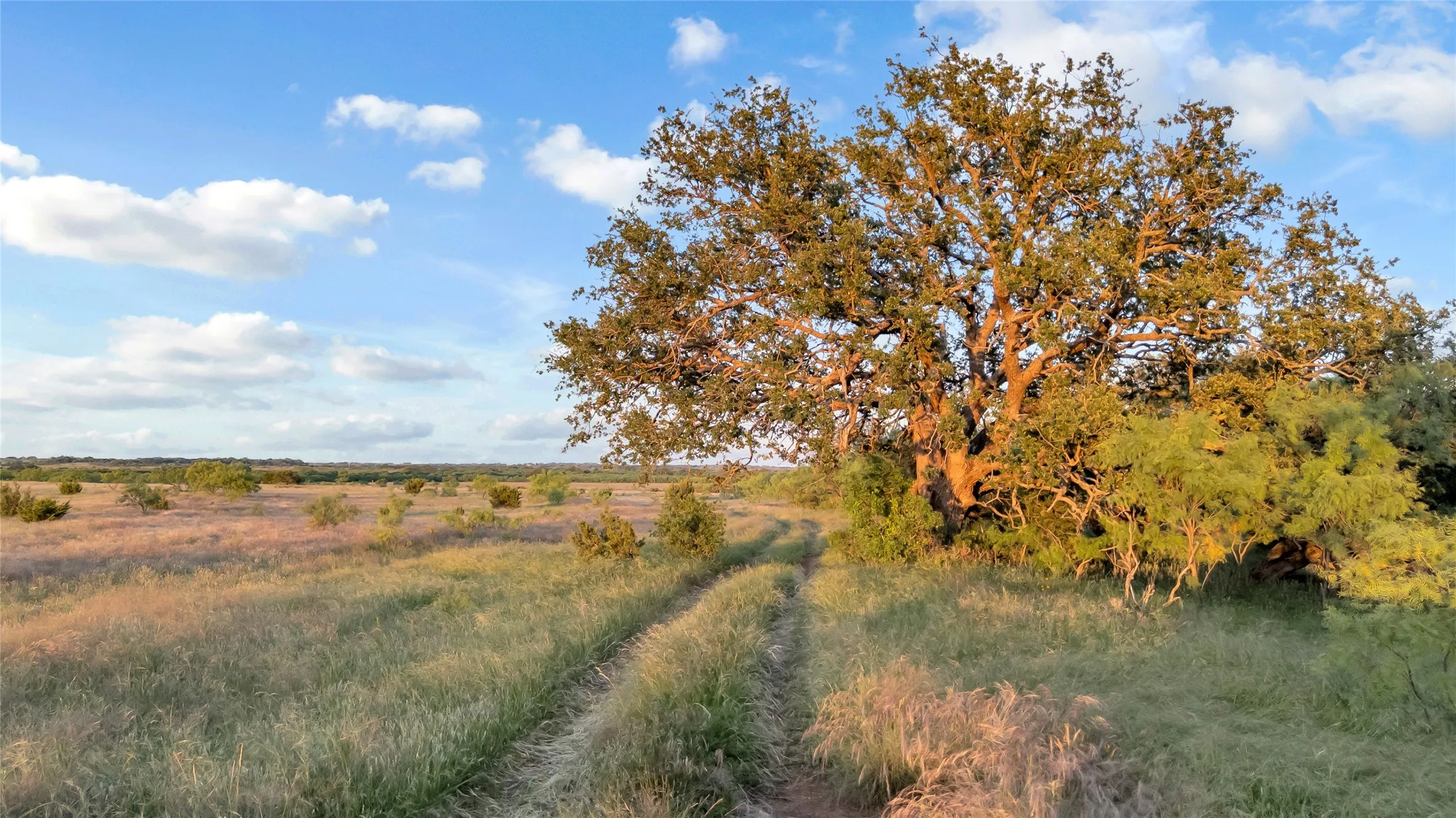 Farm For Sale in Coleman County , 824 CR 409, Talpa, Texas 76882, 2 Bedroom, 1 Bathroom, Garage spaces, 868 Sqft, built in 1998, mls#21400037, Real Estate Agent in Talpa, Homes For Sale in Coleman county, Homes For Sale in Talpa, Realtor in Talpa Texas, Real Estate Brokerage Independent Realty Texas, Luminita Cordes Realtor