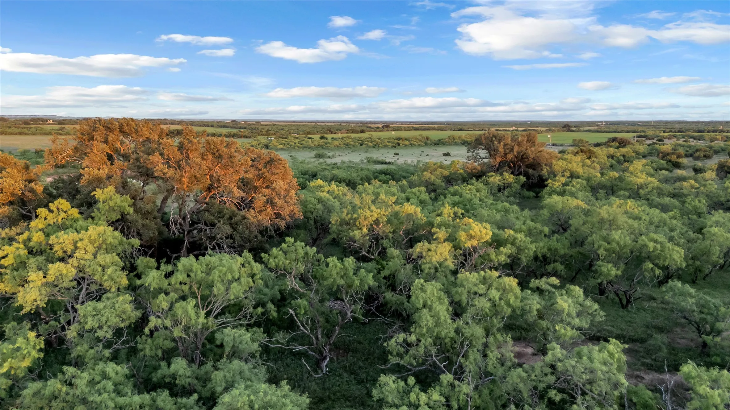 Farm For Sale in Coleman County , 824 CR 409, Talpa, Texas 76882, 2 Bedroom, 1 Bathroom, Garage spaces, 868 Sqft, built in 1998, mls#21400037, Real Estate Agent in Talpa, Homes For Sale in Coleman county, Homes For Sale in Talpa, Realtor in Talpa Texas, Real Estate Brokerage Independent Realty Texas, Luminita Cordes Realtor