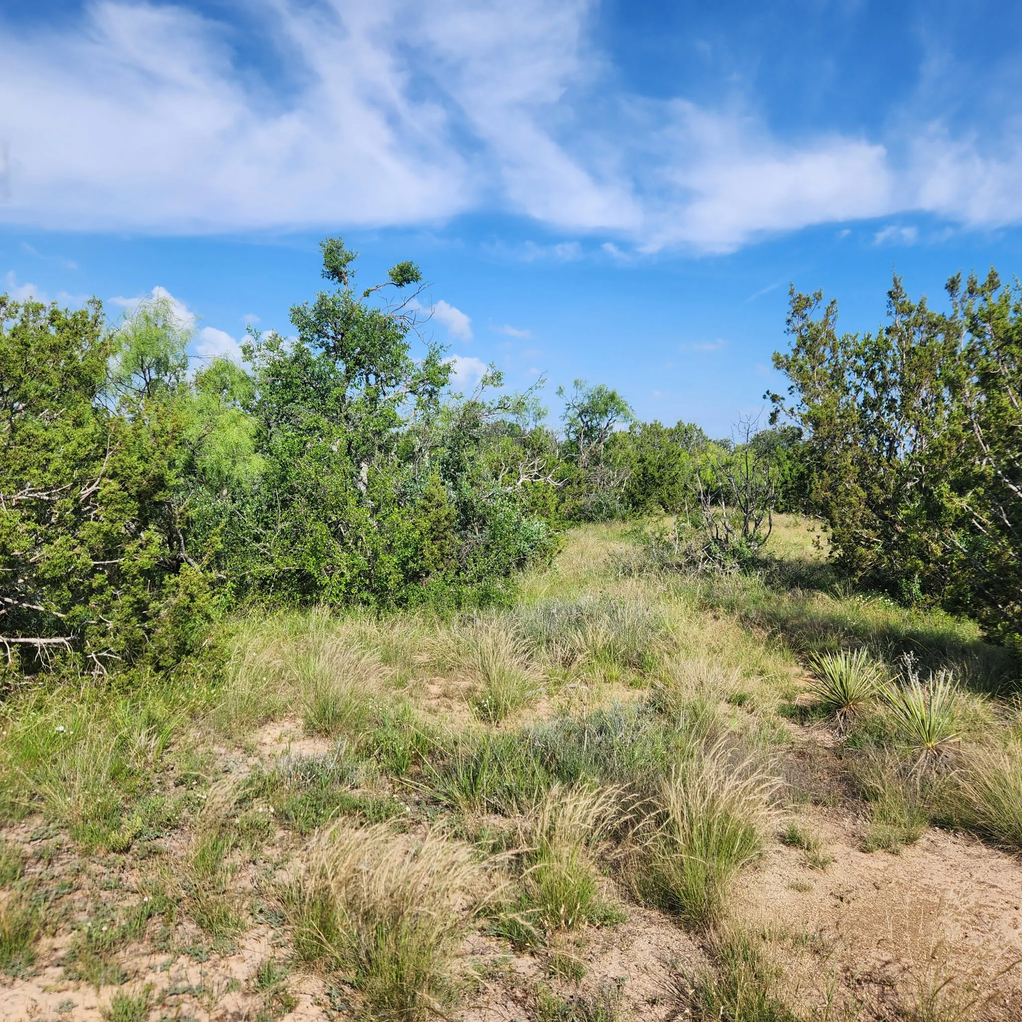Farm For Sale in Coleman County , 824 CR 409, Talpa, Texas 76882, 2 Bedroom, 1 Bathroom, Garage spaces, 868 Sqft, built in 1998, mls#21400037, Real Estate Agent in Talpa, Homes For Sale in Coleman county, Homes For Sale in Talpa, Realtor in Talpa Texas, Real Estate Brokerage Independent Realty Texas, Luminita Cordes Realtor