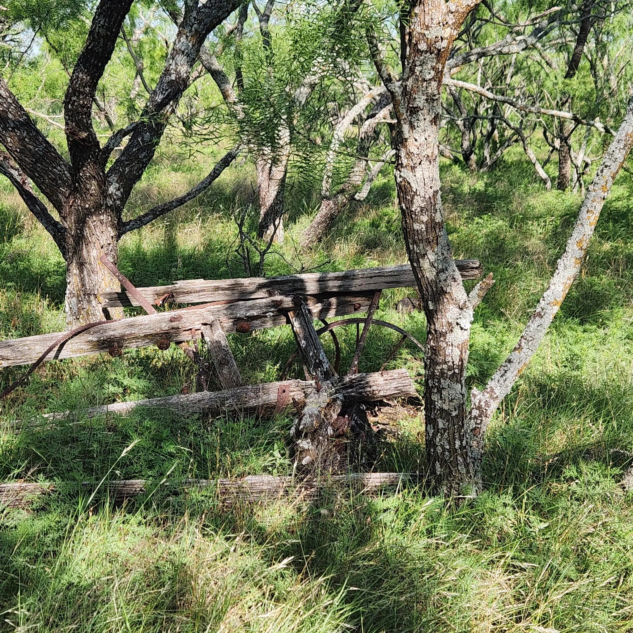 Farm For Sale in Coleman County , 824 CR 409, Talpa, Texas 76882, 2 Bedroom, 1 Bathroom, Garage spaces, 868 Sqft, built in 1998, mls#21400037, Real Estate Agent in Talpa, Homes For Sale in Coleman county, Homes For Sale in Talpa, Realtor in Talpa Texas, Real Estate Brokerage Independent Realty Texas, Luminita Cordes Realtor