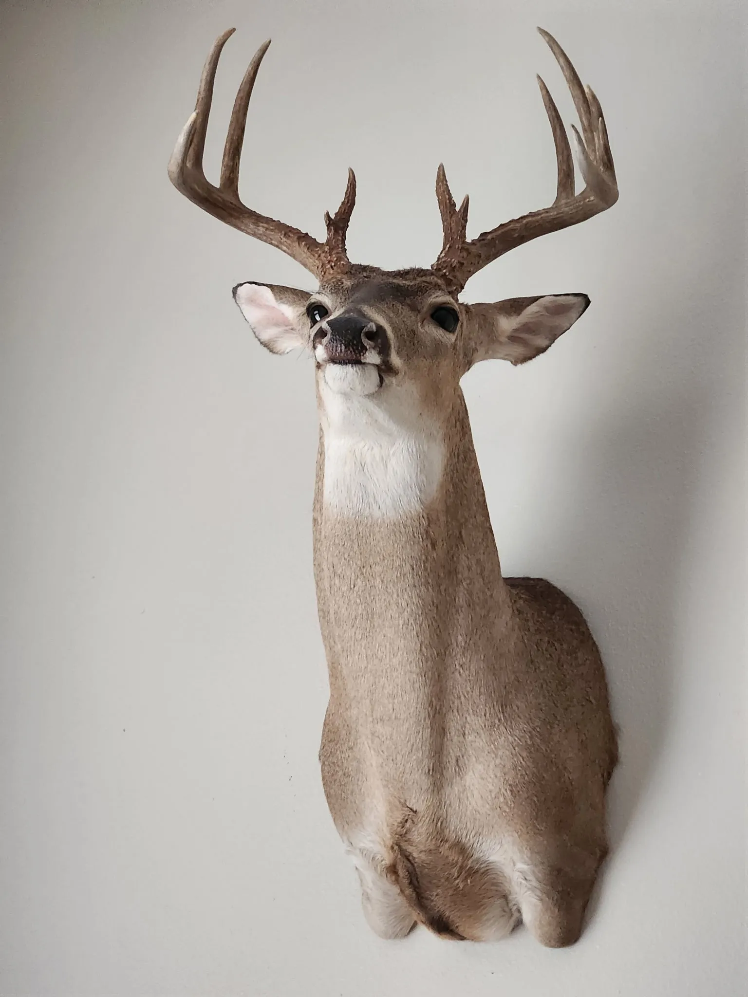 Farm For Sale in Coleman County , 824 CR 409, Talpa, Texas 76882, 2 Bedroom, 1 Bathroom, Garage spaces, 868 Sqft, built in 1998, mls#21400037, Real Estate Agent in Talpa, Homes For Sale in Coleman county, Homes For Sale in Talpa, Realtor in Talpa Texas, Real Estate Brokerage Independent Realty Texas, Luminita Cordes Realtor