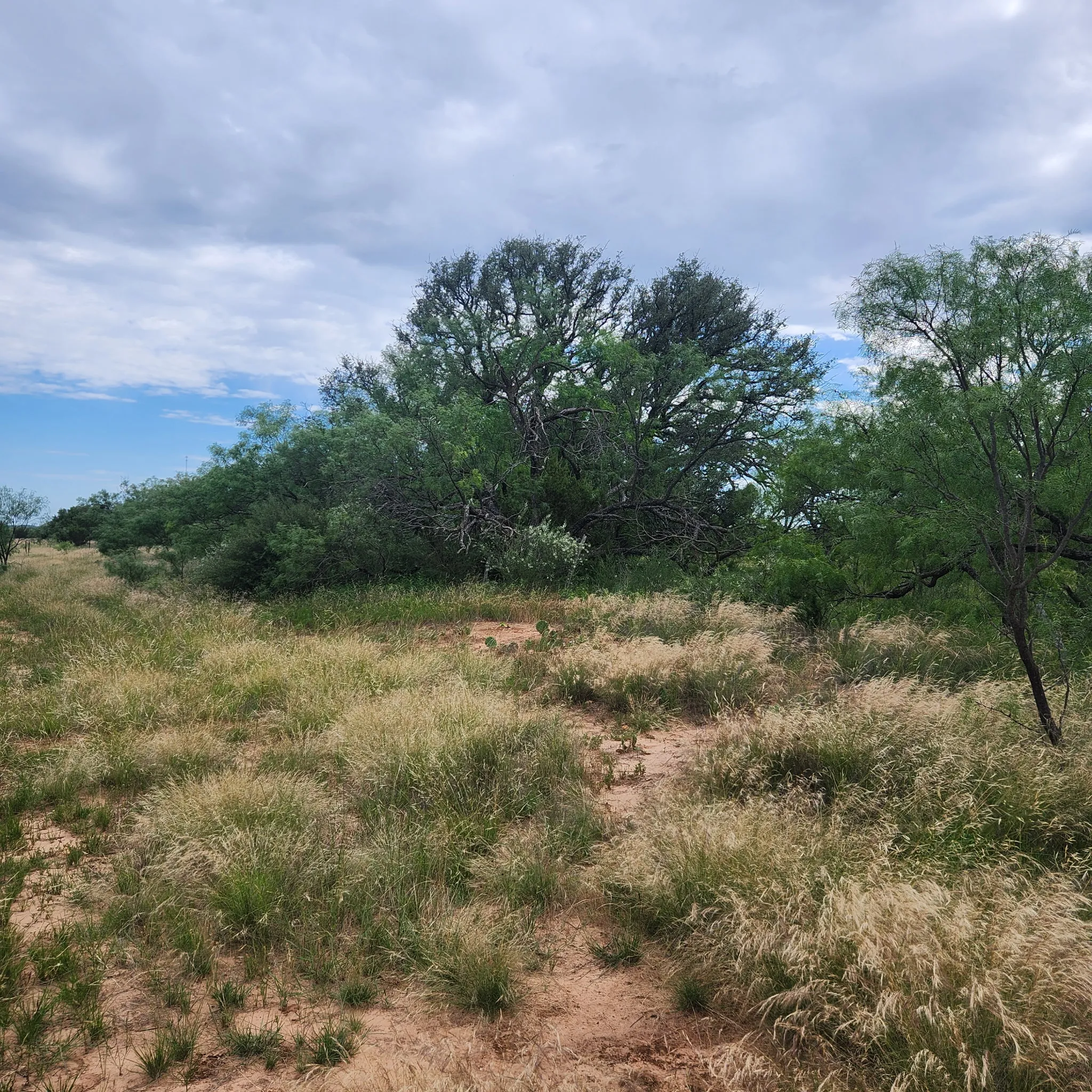 Farm For Sale in Coleman County , 824 CR 409, Talpa, Texas 76882, 2 Bedroom, 1 Bathroom, Garage spaces, 868 Sqft, built in 1998, mls#21400037, Real Estate Agent in Talpa, Homes For Sale in Coleman county, Homes For Sale in Talpa, Realtor in Talpa Texas, Real Estate Brokerage Independent Realty Texas, Luminita Cordes Realtor