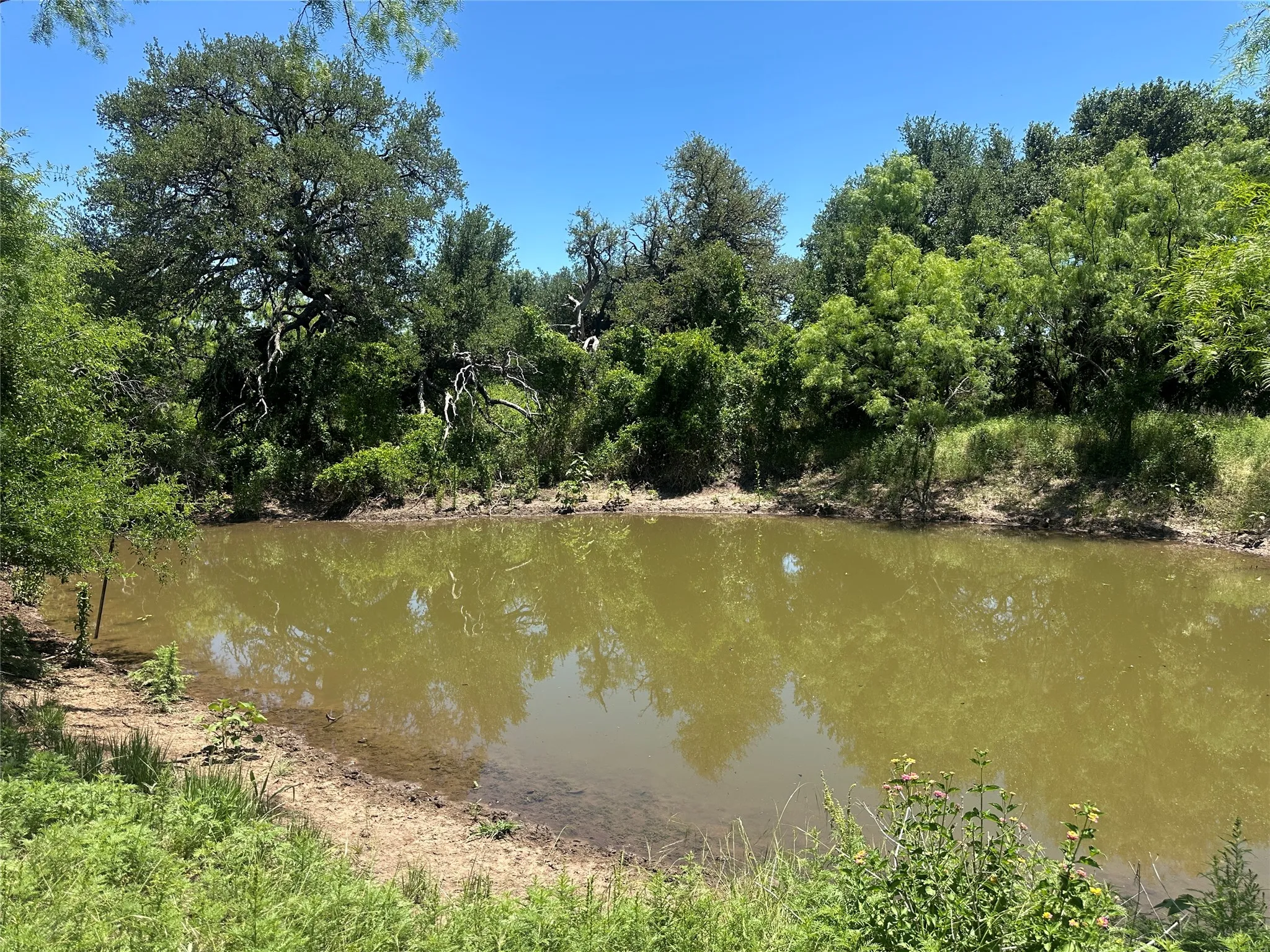 Farm For Sale in Coleman County , 824 CR 409, Talpa, Texas 76882, 2 Bedroom, 1 Bathroom, Garage spaces, 868 Sqft, built in 1998, mls#21400037, Real Estate Agent in Talpa, Homes For Sale in Coleman county, Homes For Sale in Talpa, Realtor in Talpa Texas, Real Estate Brokerage Independent Realty Texas, Luminita Cordes Realtor