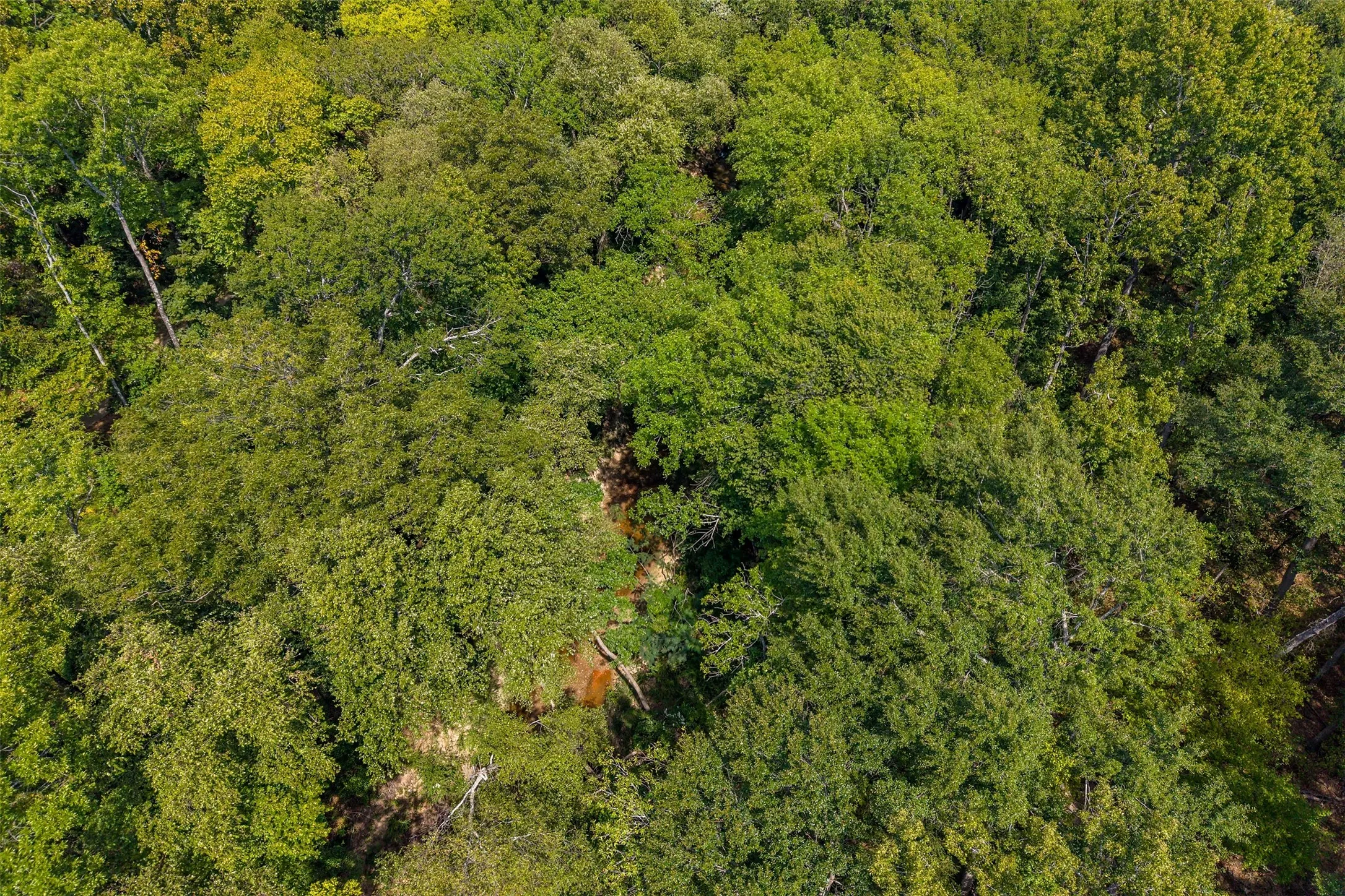 Unimproved Land For Sale in Smith County , 4649 New Copeland Road, Tyler, Texas 75703, 0, 0, Garage spaces, 0 Sqft, built in 0, mls#21404137, Real Estate Agent in Tyler, Homes For Sale in Smith county, Homes For Sale in Tyler, Realtor in Tyler Texas, Real Estate Brokerage Independent Realty Texas, Luminita Cordes Realtor