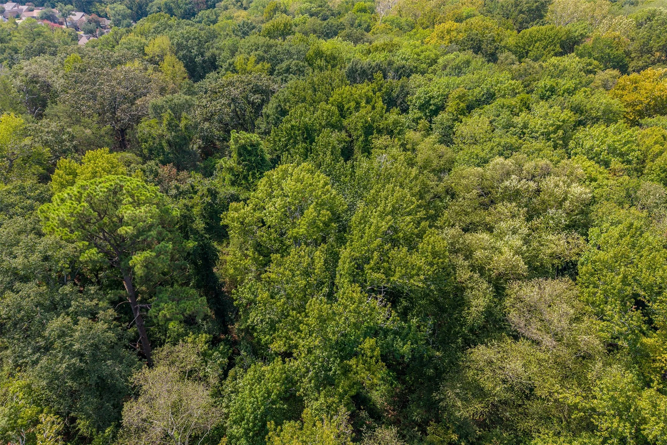Unimproved Land For Sale in Smith County , 4649 New Copeland Road, Tyler, Texas 75703, 0, 0, Garage spaces, 0 Sqft, built in 0, mls#21404137, Real Estate Agent in Tyler, Homes For Sale in Smith county, Homes For Sale in Tyler, Realtor in Tyler Texas, Real Estate Brokerage Independent Realty Texas, Luminita Cordes Realtor