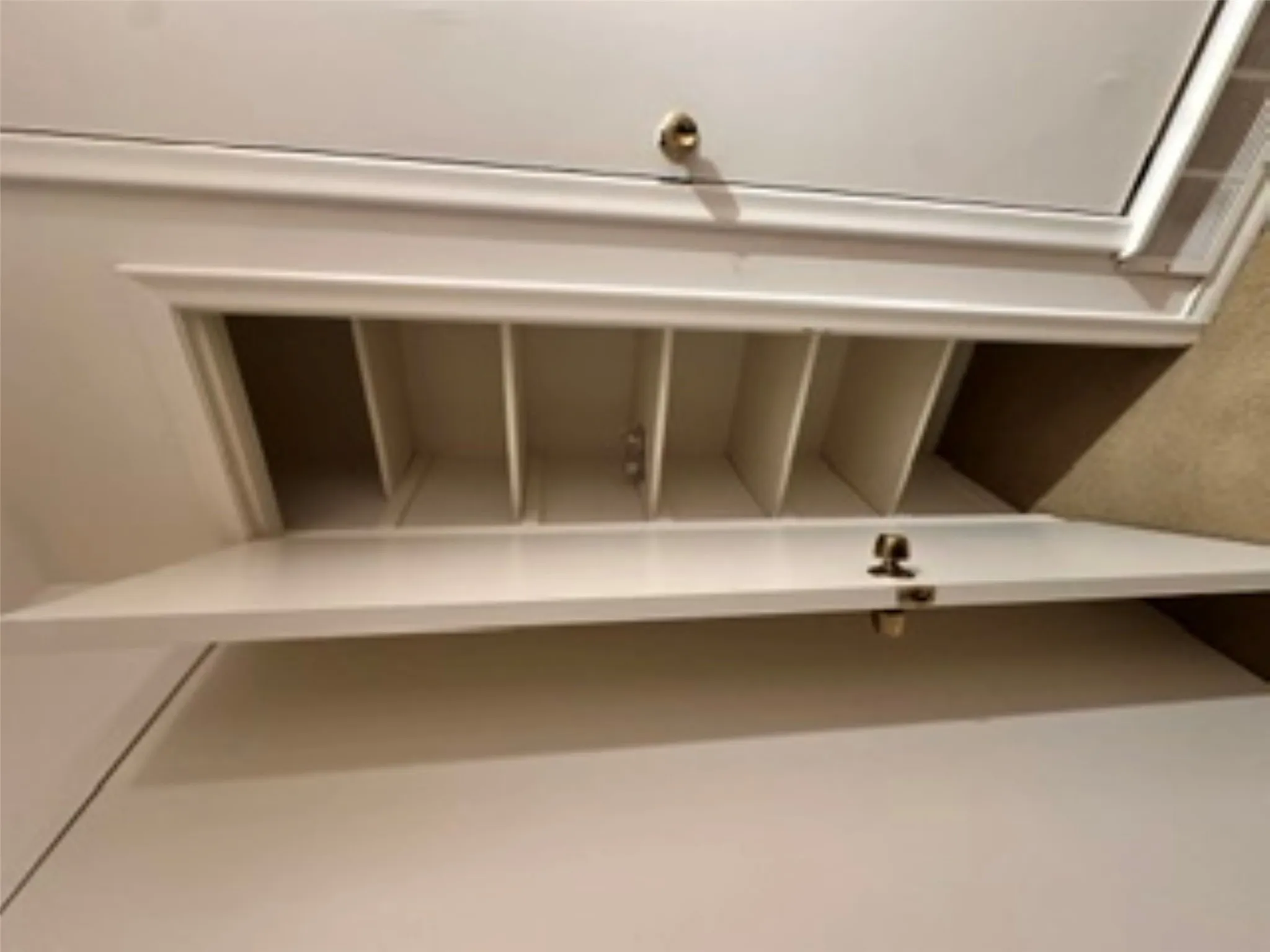 Hallway storage. Home comes with a Safe room in the hallway.