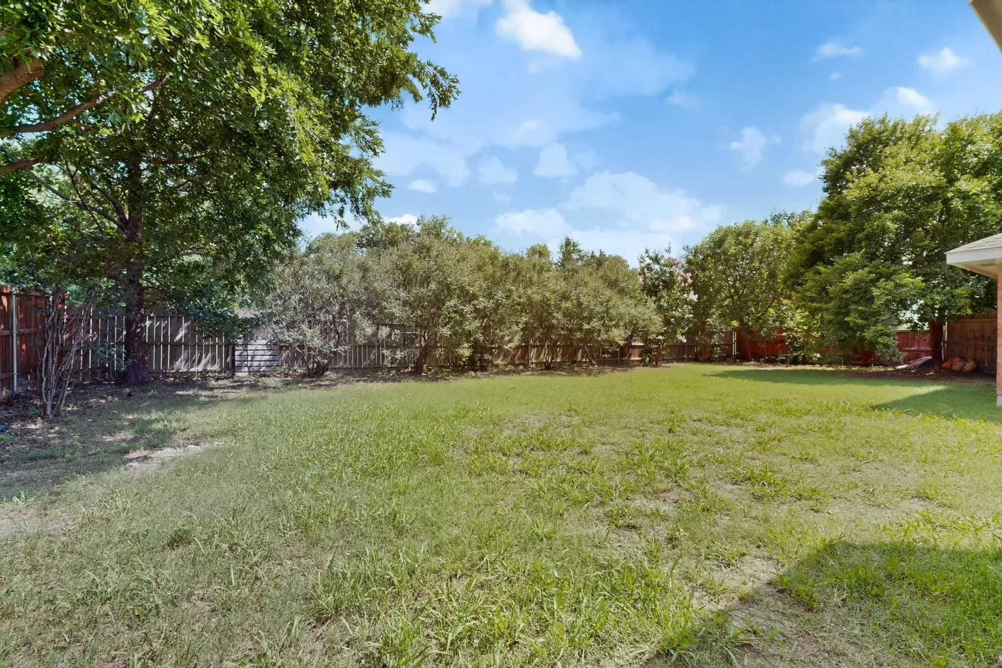 Expansive grassy area with mature trees and a wood-panel fence