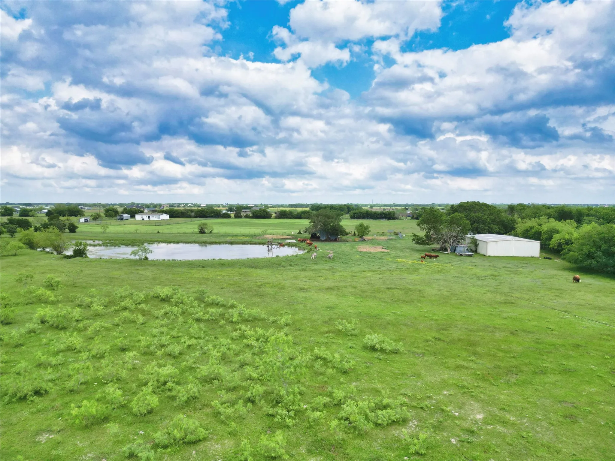 View from the back of the property looking toward the road frontage.