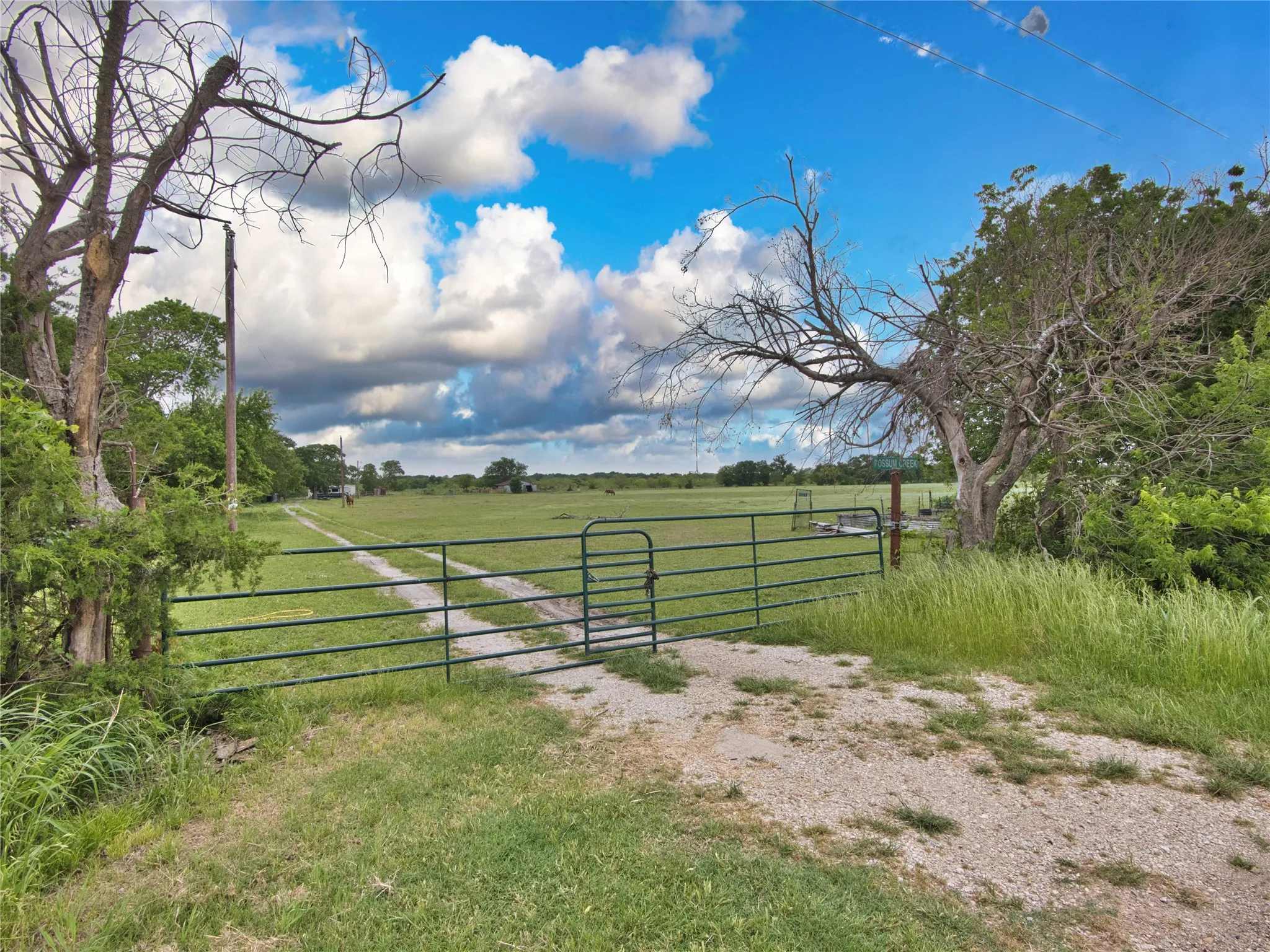 Green metal gate with a gravel driveway, surrounded by expansive grassy fields and mature trees