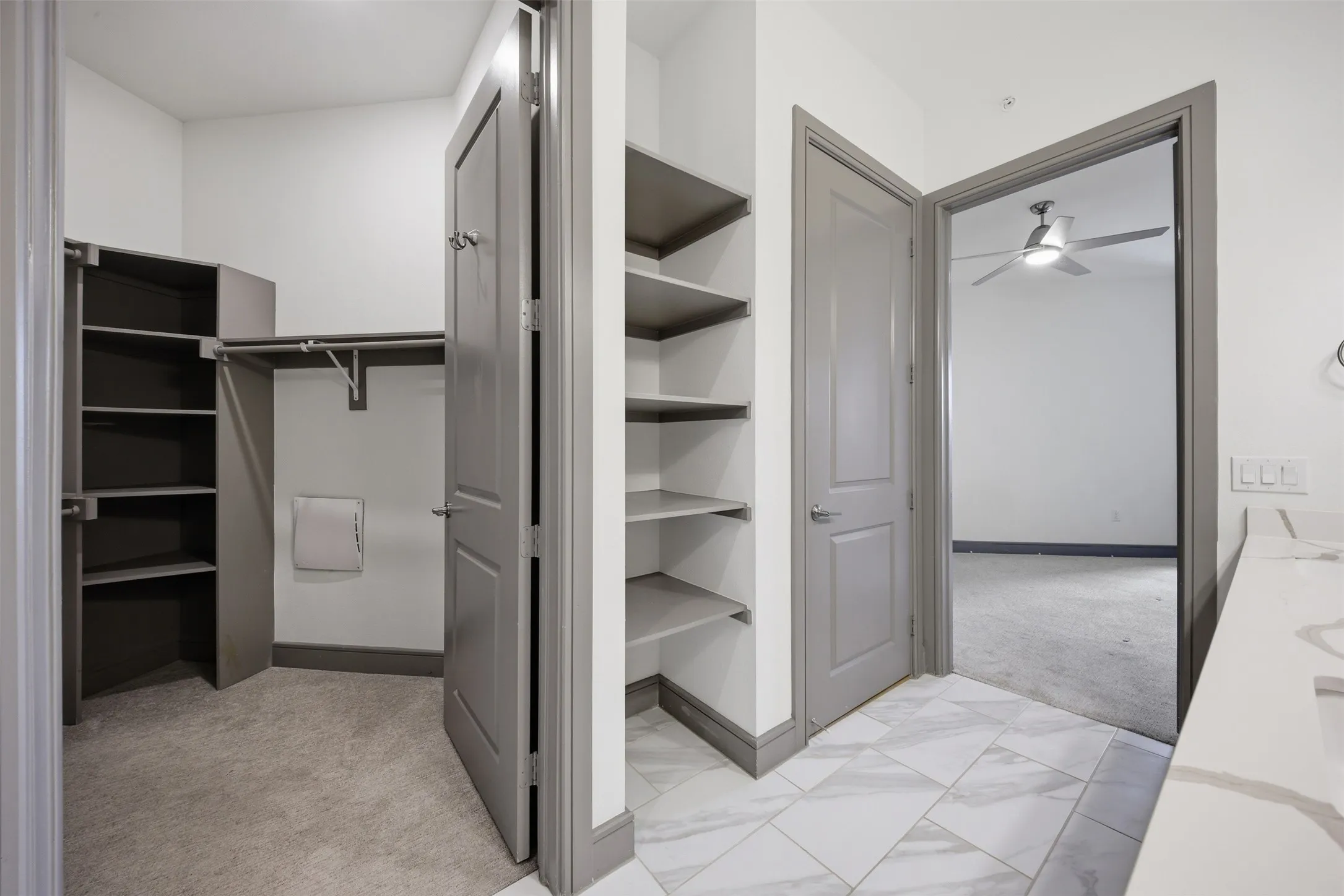 Walk-in closet with built-in shelving, hanging rods, and carpet flooring