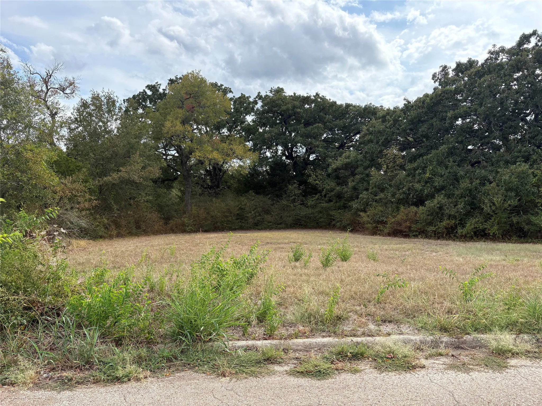 Unimproved Land For Sale in Hunt County , .62 ac Sycamore Street, Commerce, Texas 75428, 0, 0, Garage spaces, 0 Sqft, built in 0, mls#21402286, Real Estate Agent in Commerce, Homes For Sale in Hunt county, Homes For Sale in Commerce, Realtor in Commerce Texas, Real Estate Brokerage Independent Realty Texas, Luminita Cordes Realtor