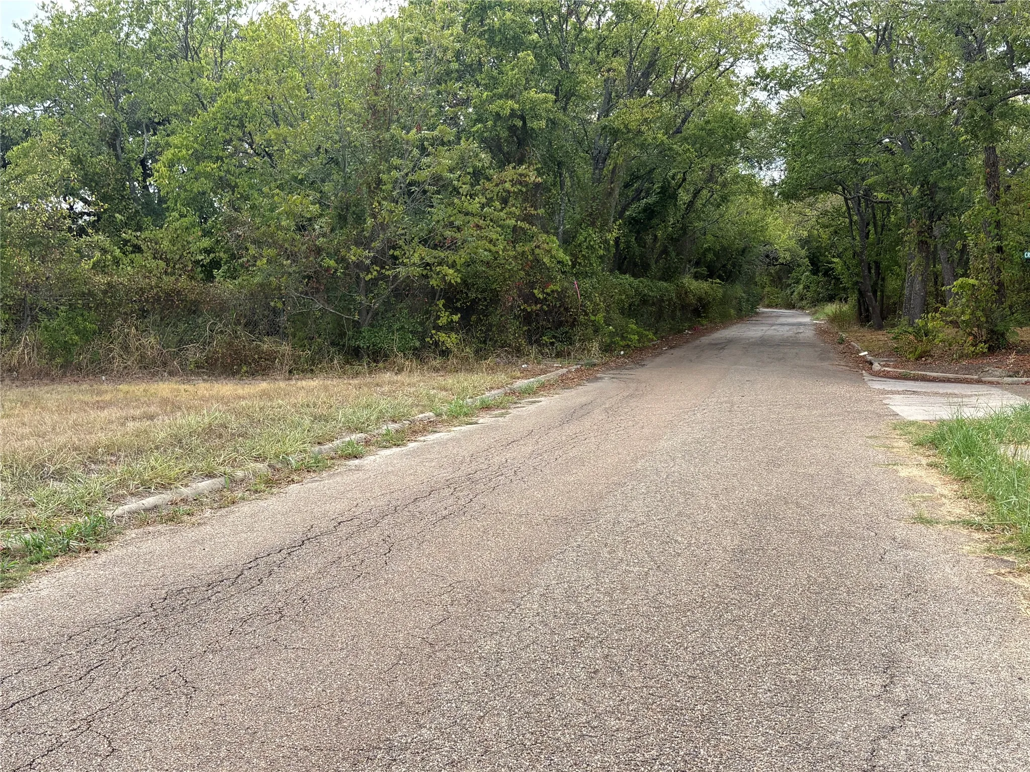 Unimproved Land For Sale in Hunt County , .62 ac Sycamore Street, Commerce, Texas 75428, 0, 0, Garage spaces, 0 Sqft, built in 0, mls#21402286, Real Estate Agent in Commerce, Homes For Sale in Hunt county, Homes For Sale in Commerce, Realtor in Commerce Texas, Real Estate Brokerage Independent Realty Texas, Luminita Cordes Realtor
