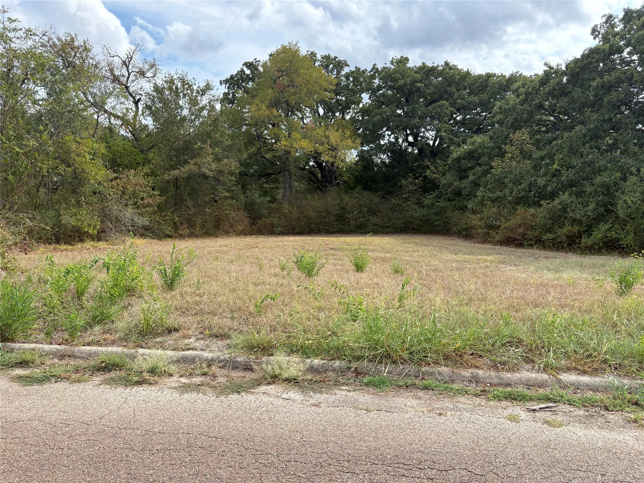 Unimproved Land For Sale in Hunt County , .62 ac Sycamore Street, Commerce, Texas 75428, 0, 0, Garage spaces, 0 Sqft, built in 0, mls#21402286, Real Estate Agent in Commerce, Homes For Sale in Hunt county, Homes For Sale in Commerce, Realtor in Commerce Texas, Real Estate Brokerage Independent Realty Texas, Luminita Cordes Realtor