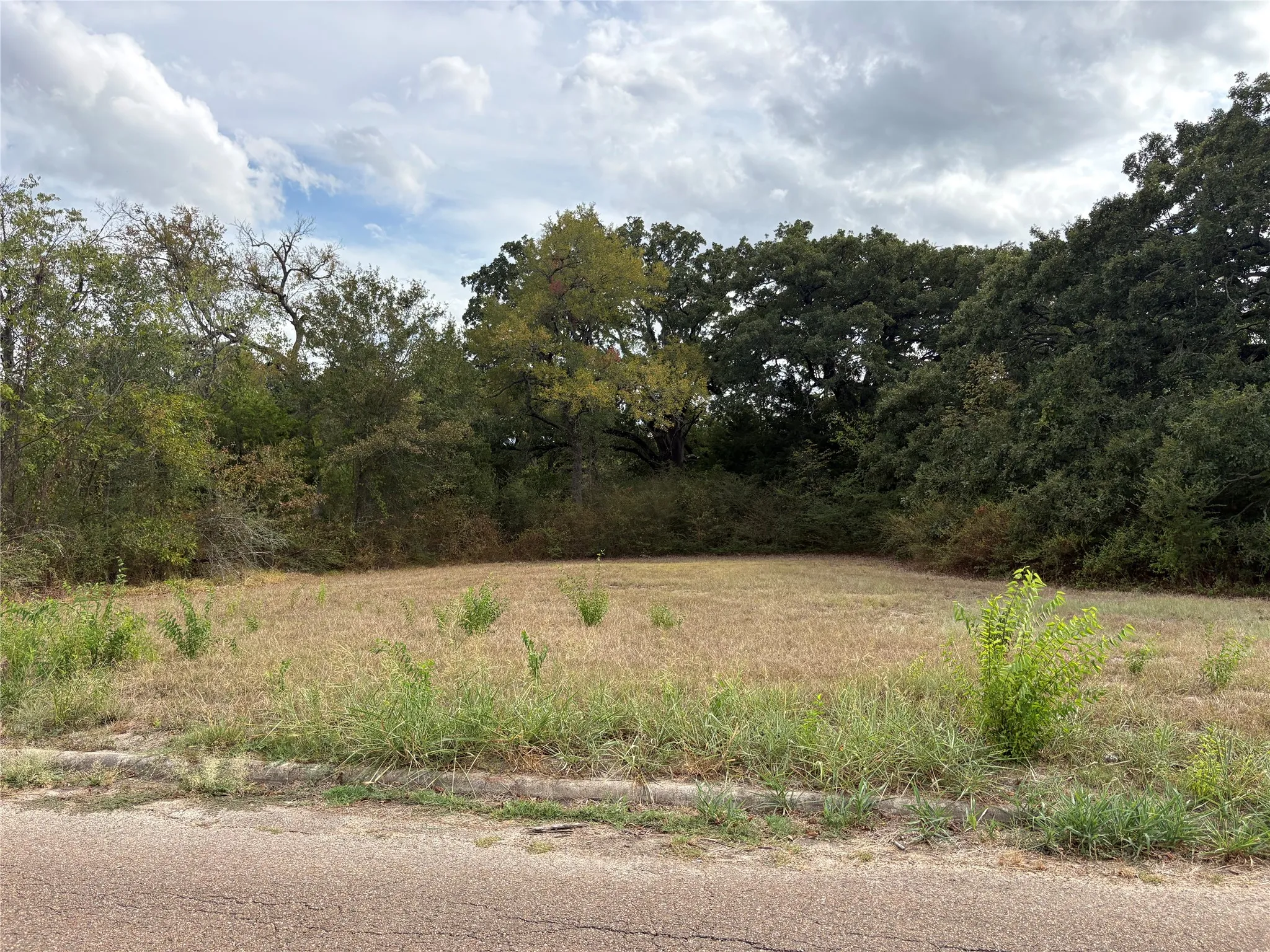Unimproved Land For Sale in Hunt County , .62 ac Sycamore Street, Commerce, Texas 75428, 0, 0, Garage spaces, 0 Sqft, built in 0, mls#21402286, Real Estate Agent in Commerce, Homes For Sale in Hunt county, Homes For Sale in Commerce, Realtor in Commerce Texas, Real Estate Brokerage Independent Realty Texas, Luminita Cordes Realtor