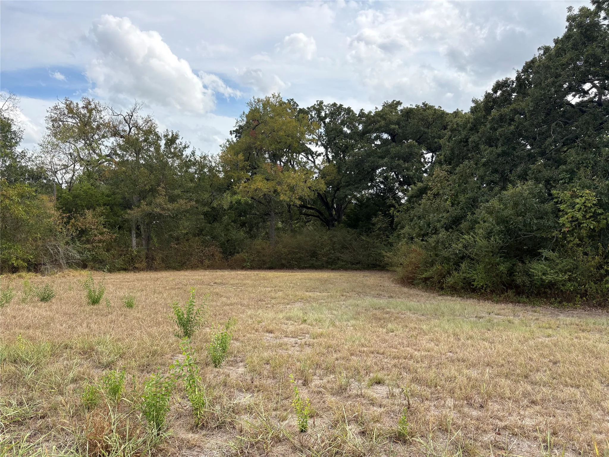 Unimproved Land For Sale in Hunt County , .62 ac Sycamore Street, Commerce, Texas 75428, 0, 0, Garage spaces, 0 Sqft, built in 0, mls#21402286, Real Estate Agent in Commerce, Homes For Sale in Hunt county, Homes For Sale in Commerce, Realtor in Commerce Texas, Real Estate Brokerage Independent Realty Texas, Luminita Cordes Realtor