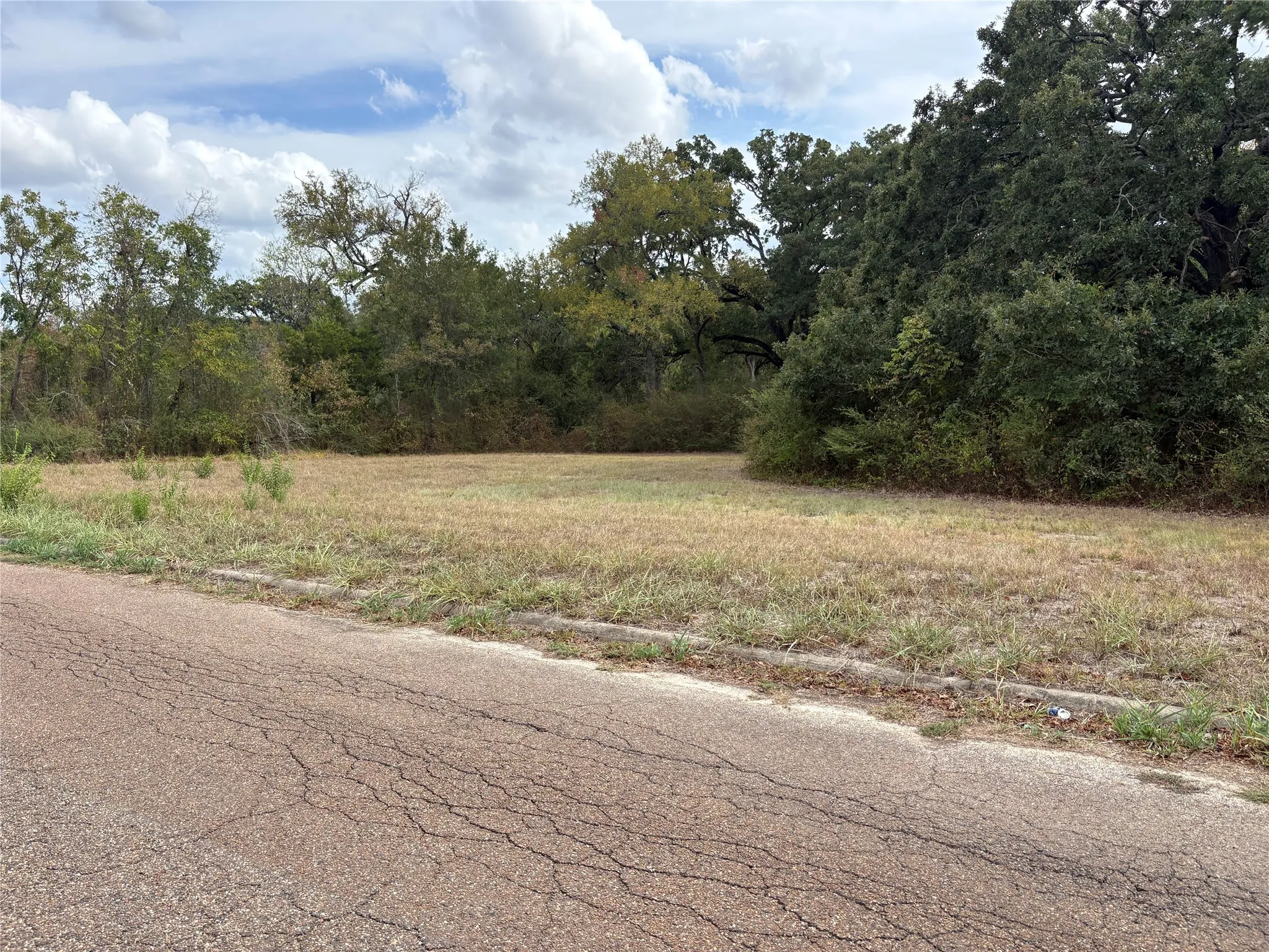 Unimproved Land For Sale in Hunt County , .62 ac Sycamore Street, Commerce, Texas 75428, 0, 0, Garage spaces, 0 Sqft, built in 0, mls#21402286, Real Estate Agent in Commerce, Homes For Sale in Hunt county, Homes For Sale in Commerce, Realtor in Commerce Texas, Real Estate Brokerage Independent Realty Texas, Luminita Cordes Realtor