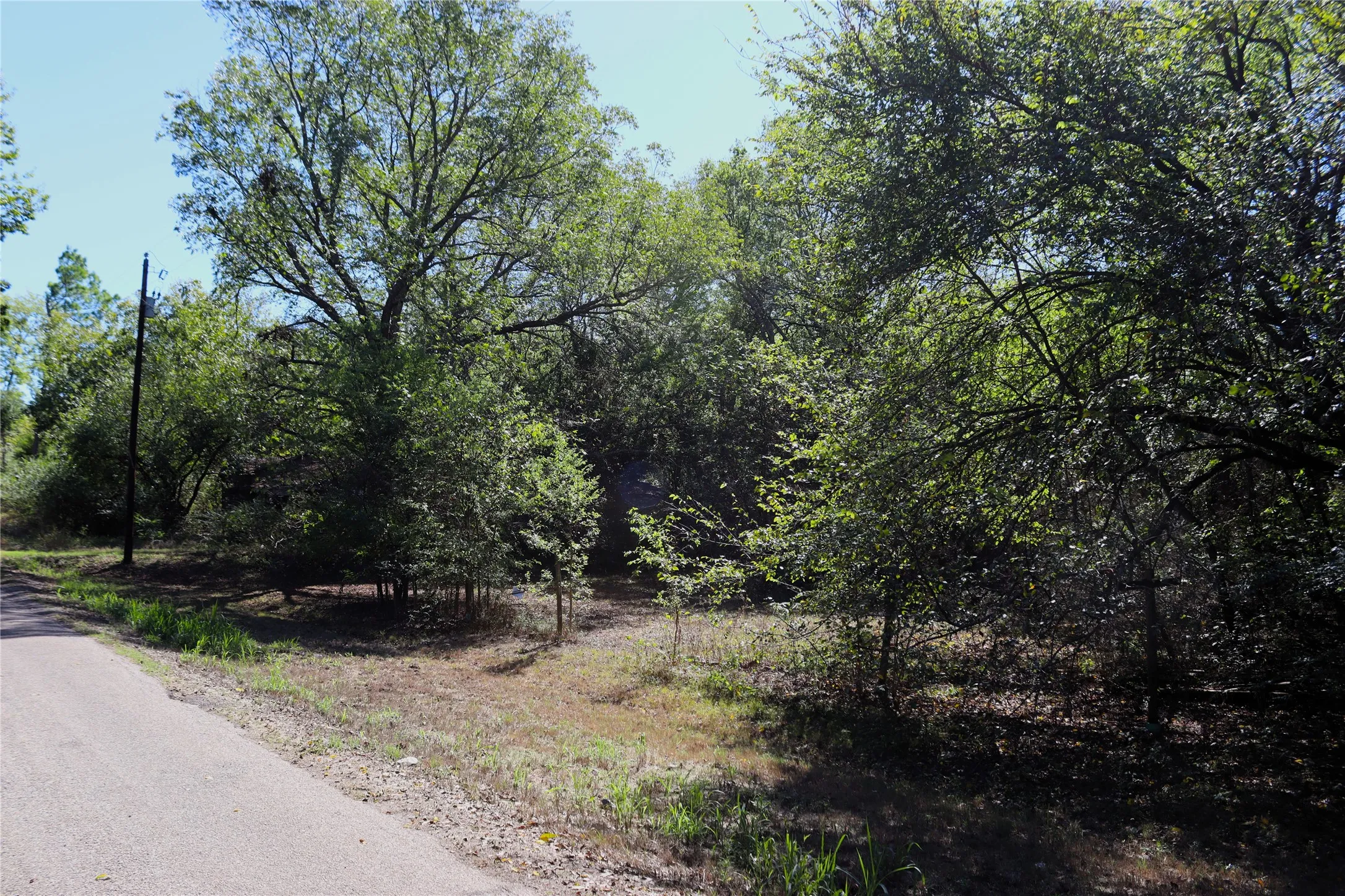Unimproved Land For Sale in Rains County , TBD Rs County Road 1622, Lone Oak, Texas 75453, 0, 0, Garage spaces, 0 Sqft, built in 0, mls#21404208, Real Estate Agent in Lone Oak, Homes For Sale in Rains county, Homes For Sale in Lone Oak, Realtor in Lone Oak Texas, Real Estate Brokerage Independent Realty Texas, Luminita Cordes Realtor