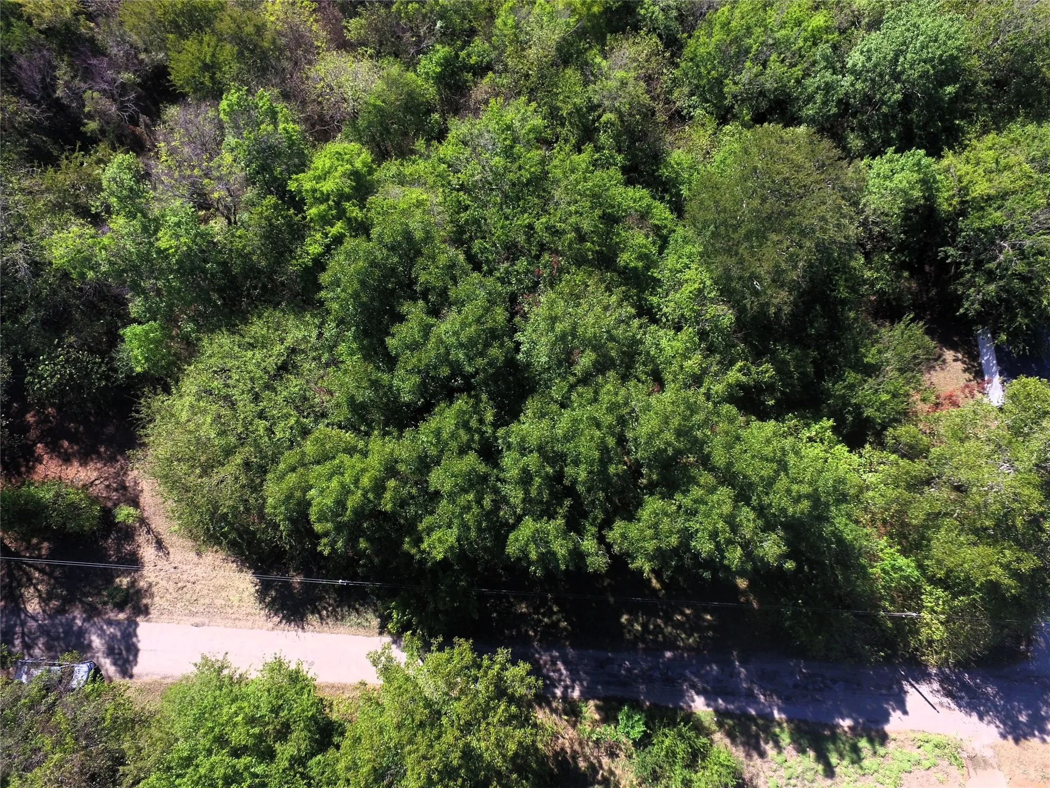 Unimproved Land For Sale in Rains County , TBD Rs County Road 1622, Lone Oak, Texas 75453, 0, 0, Garage spaces, 0 Sqft, built in 0, mls#21404208, Real Estate Agent in Lone Oak, Homes For Sale in Rains county, Homes For Sale in Lone Oak, Realtor in Lone Oak Texas, Real Estate Brokerage Independent Realty Texas, Luminita Cordes Realtor
