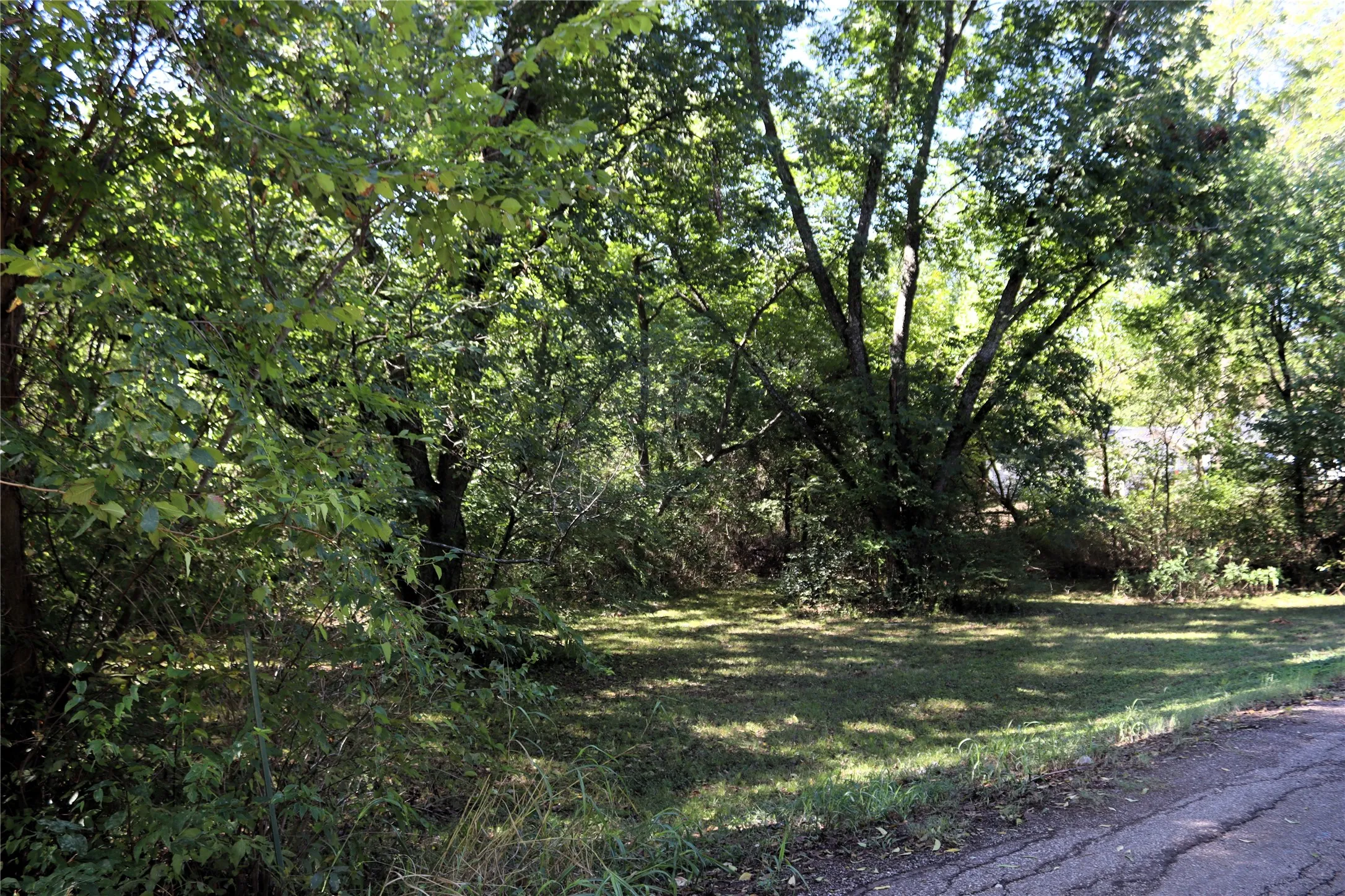Unimproved Land For Sale in Rains County , TBD Rs County Road 1622, Lone Oak, Texas 75453, 0, 0, Garage spaces, 0 Sqft, built in 0, mls#21404208, Real Estate Agent in Lone Oak, Homes For Sale in Rains county, Homes For Sale in Lone Oak, Realtor in Lone Oak Texas, Real Estate Brokerage Independent Realty Texas, Luminita Cordes Realtor