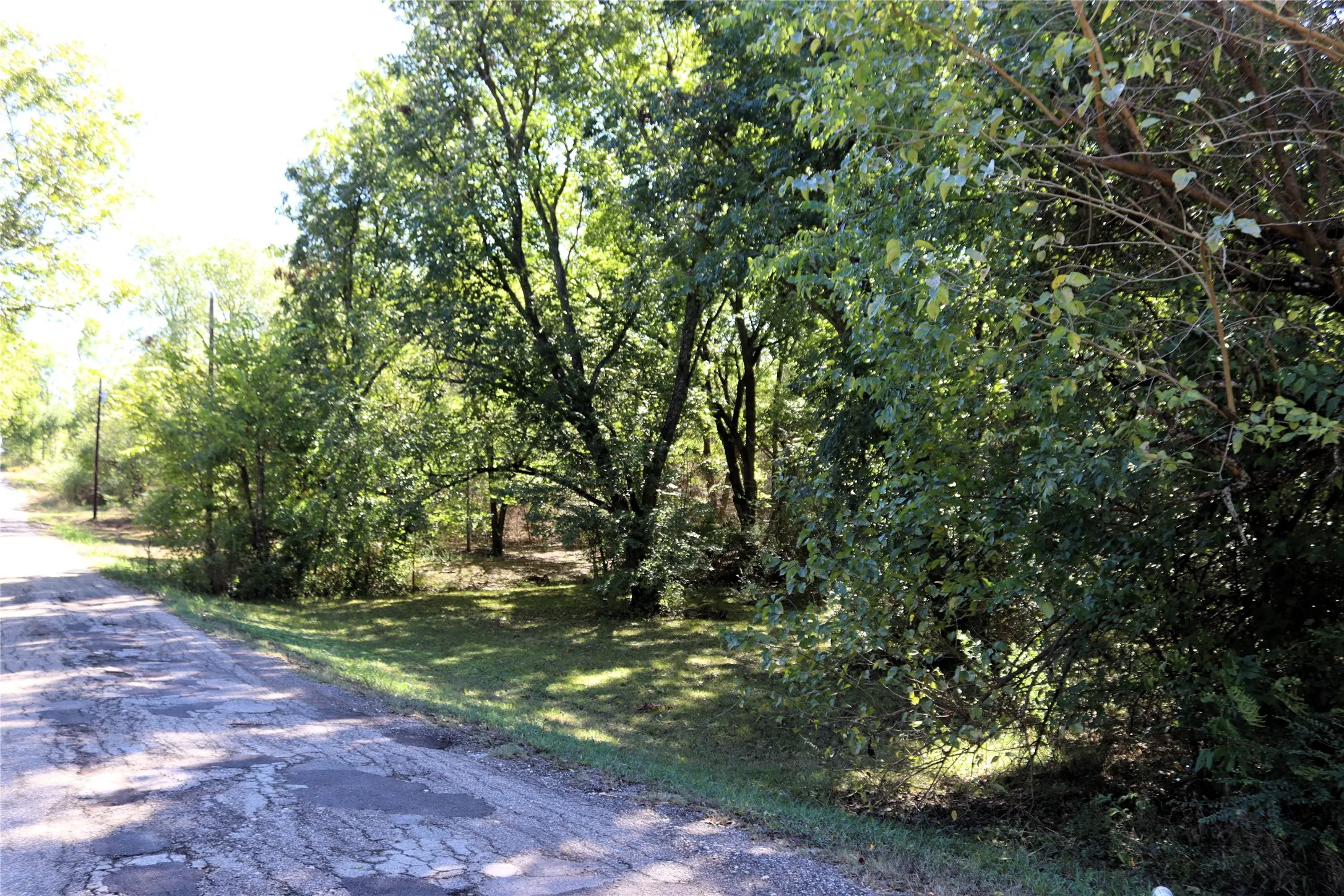 Unimproved Land For Sale in Rains County , TBD Rs County Road 1622, Lone Oak, Texas 75453, 0, 0, Garage spaces, 0 Sqft, built in 0, mls#21404208, Real Estate Agent in Lone Oak, Homes For Sale in Rains county, Homes For Sale in Lone Oak, Realtor in Lone Oak Texas, Real Estate Brokerage Independent Realty Texas, Luminita Cordes Realtor