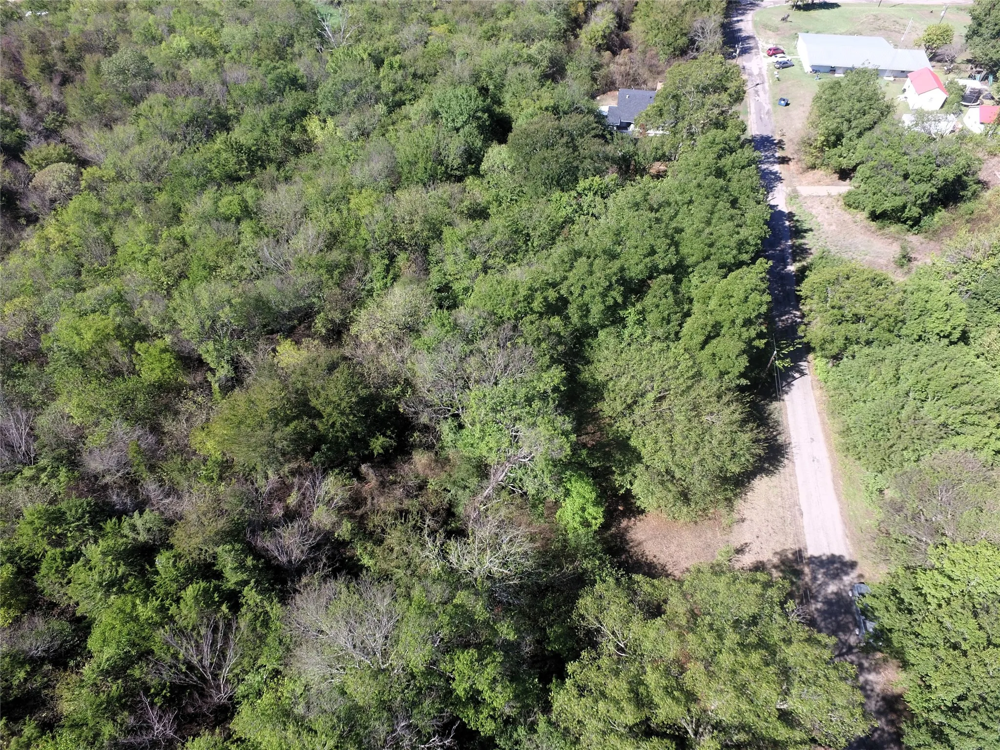 Unimproved Land For Sale in Rains County , TBD Rs County Road 1622, Lone Oak, Texas 75453, 0, 0, Garage spaces, 0 Sqft, built in 0, mls#21404208, Real Estate Agent in Lone Oak, Homes For Sale in Rains county, Homes For Sale in Lone Oak, Realtor in Lone Oak Texas, Real Estate Brokerage Independent Realty Texas, Luminita Cordes Realtor