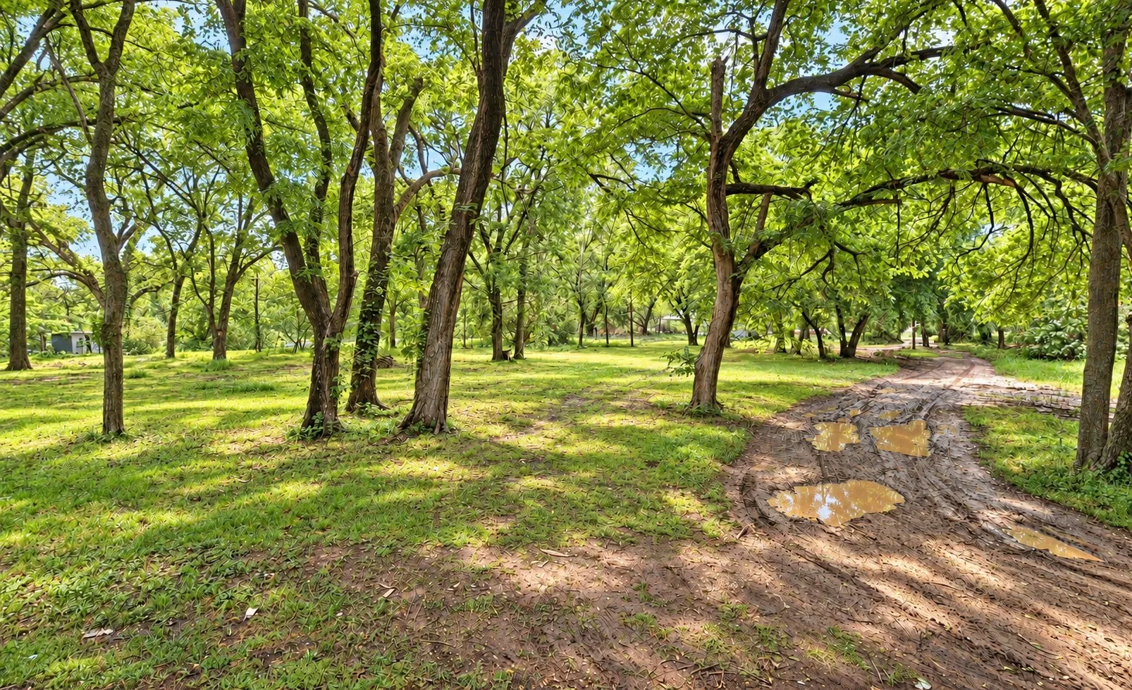 Improved Land For Sale in Johnson County , 152 Bowden Circle, Burleson, Texas 76028, 0, 0, Garage spaces, 0 Sqft, built in 0, mls#21403562, Real Estate Agent in Burleson, Homes For Sale in Johnson county, Homes For Sale in Burleson, Realtor in Burleson Texas, Real Estate Brokerage Independent Realty Texas, Luminita Cordes Realtor