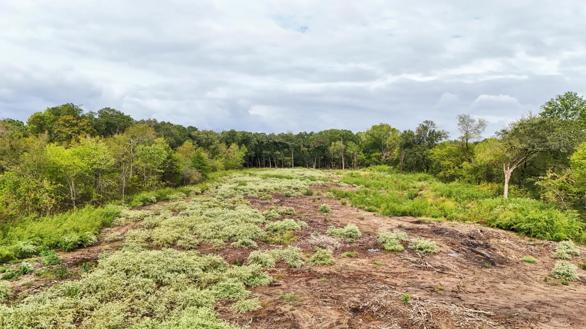 Unimproved Land For Sale in Kaufman County , 0 Ed Hardin Lane, Terrell, Texas 75161, 0, 0, Garage spaces, 0 Sqft, built in 0, mls#21403404, Real Estate Agent in Terrell, Homes For Sale in Kaufman county, Homes For Sale in Terrell, Realtor in Terrell Texas, Real Estate Brokerage Independent Realty Texas, Luminita Cordes Realtor